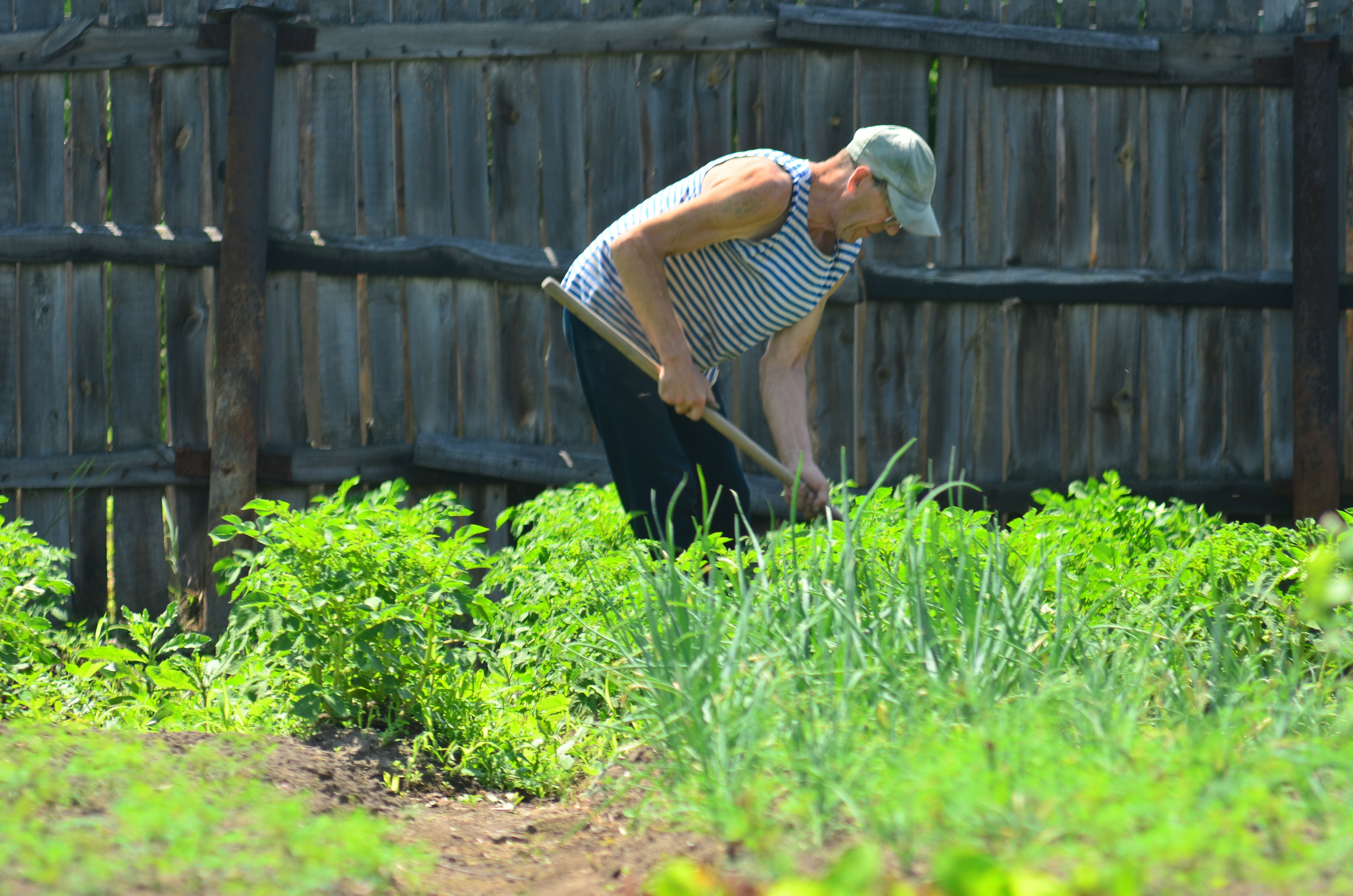 Дары природы. Фотограф viktor viktor