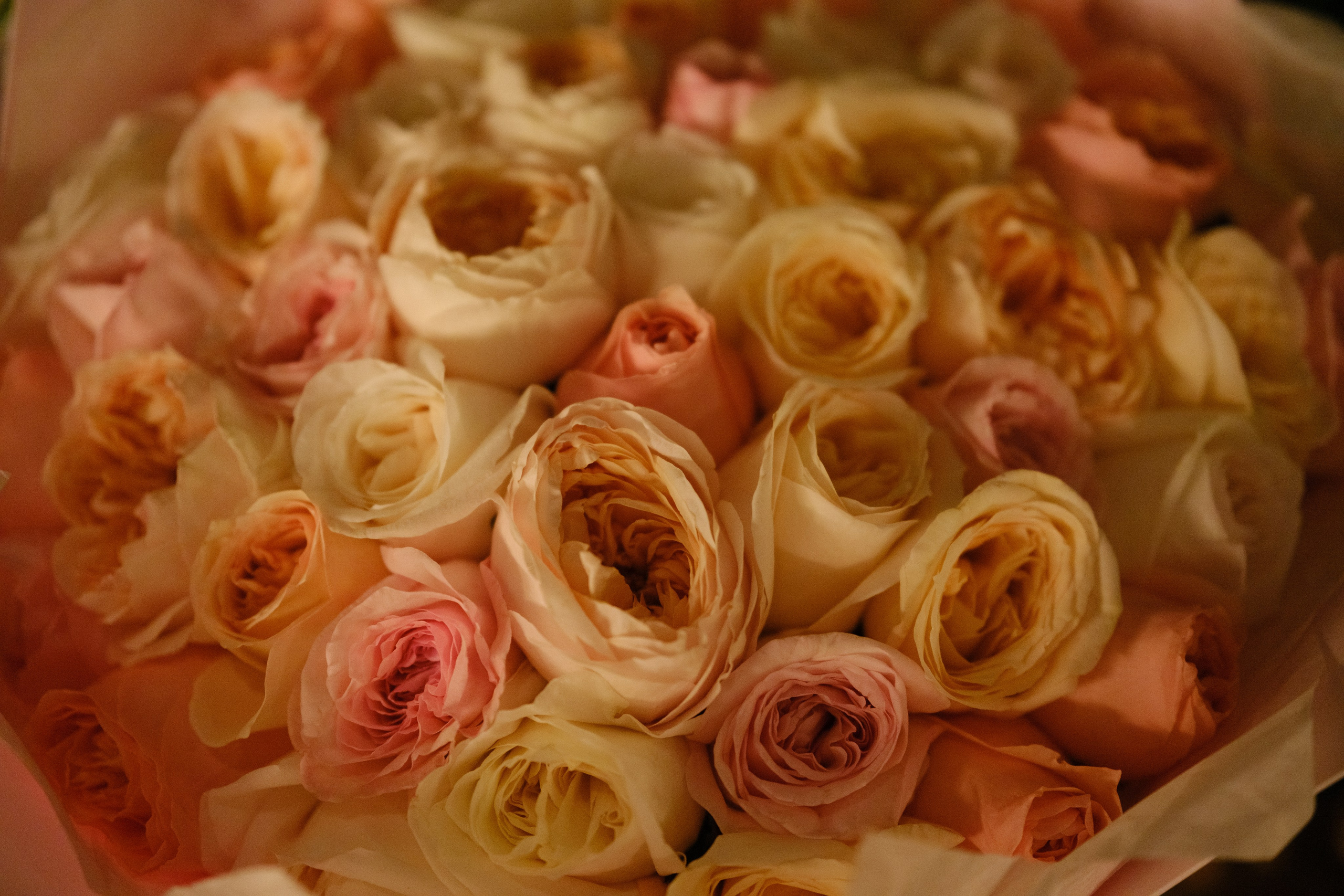 Торжество узнавания. Обо мне