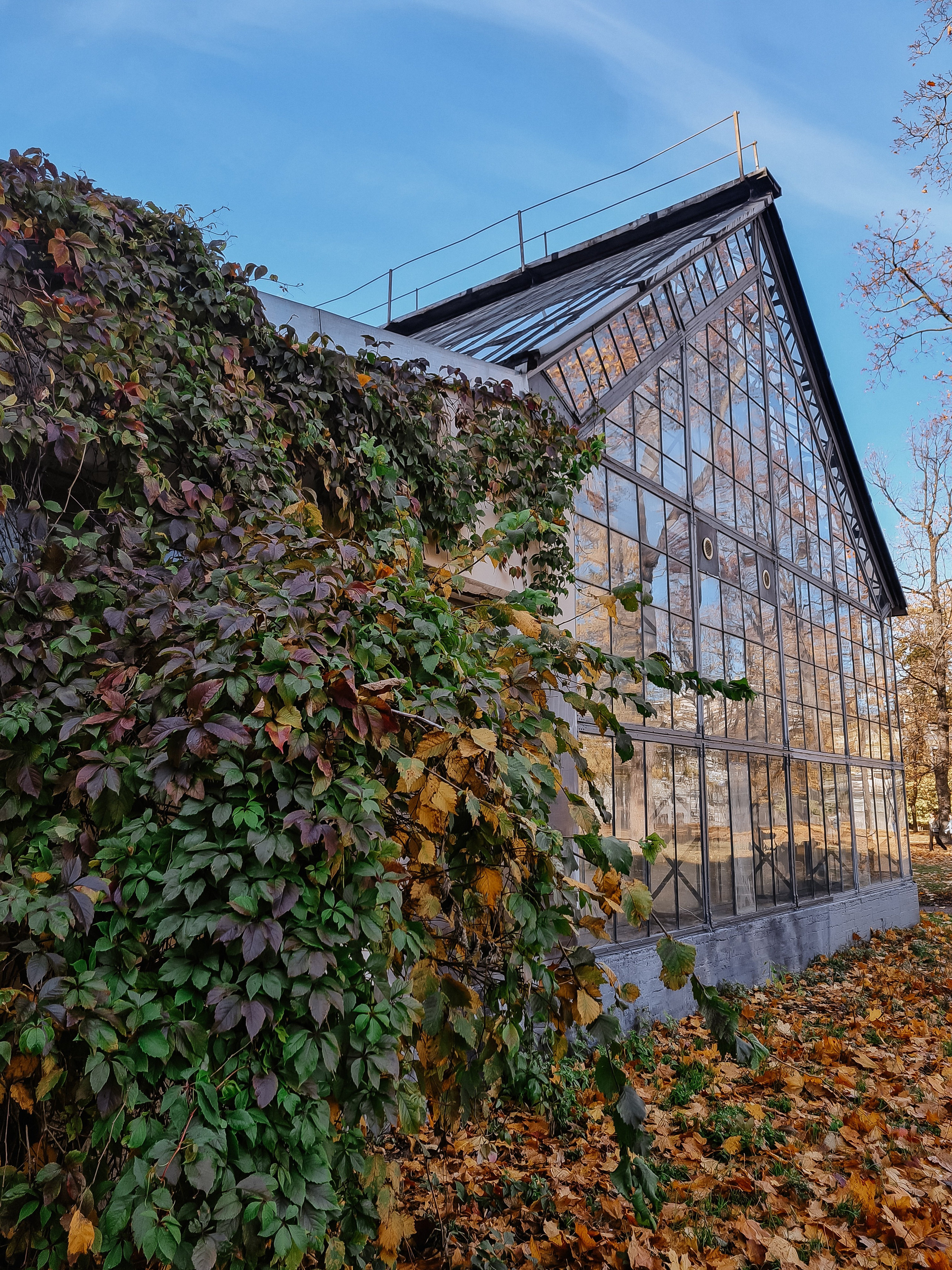 места для фотосессии в Санкт-Петербурге