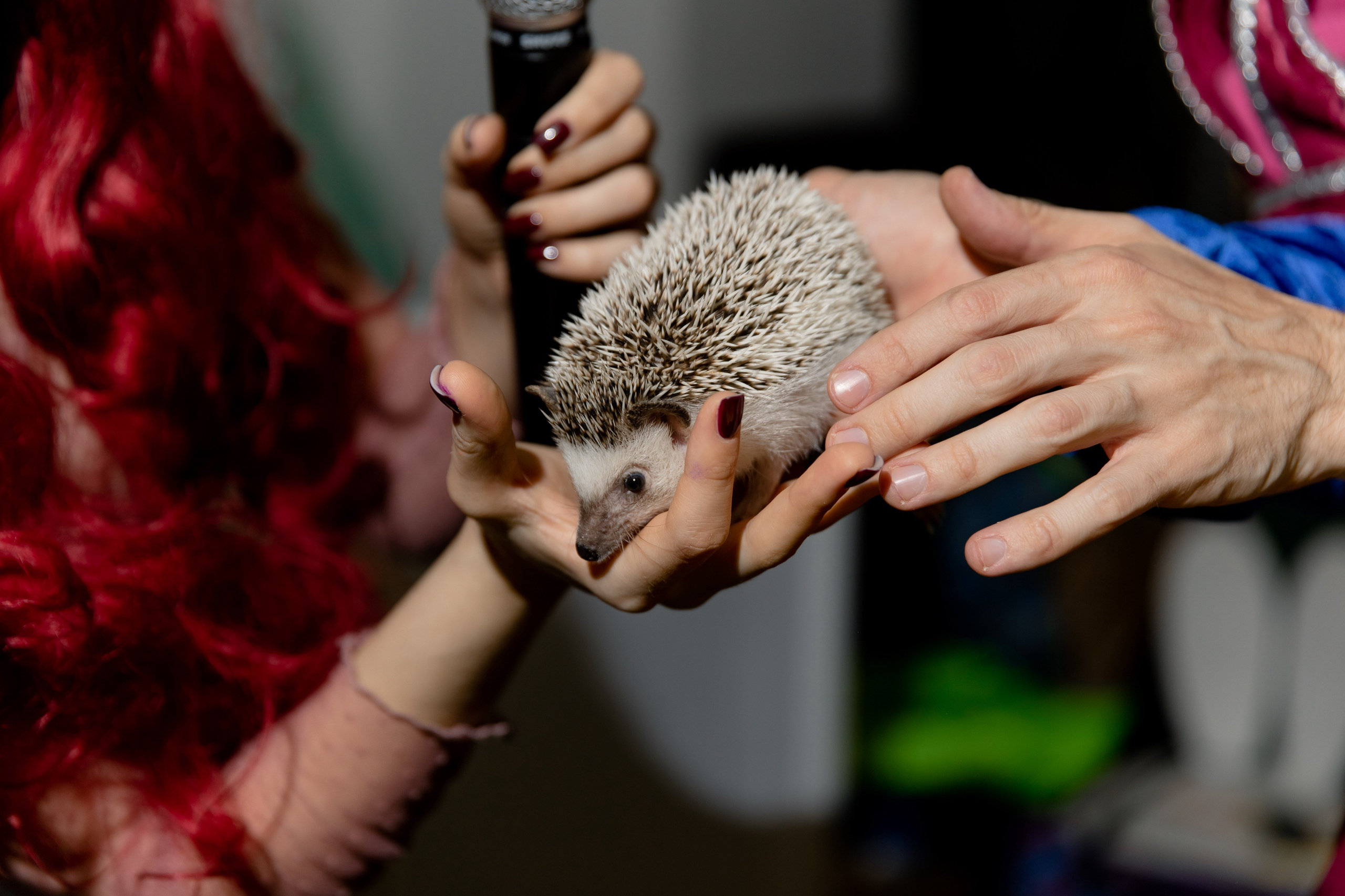 Вера 6 лет. Фотограф Роман Полянин