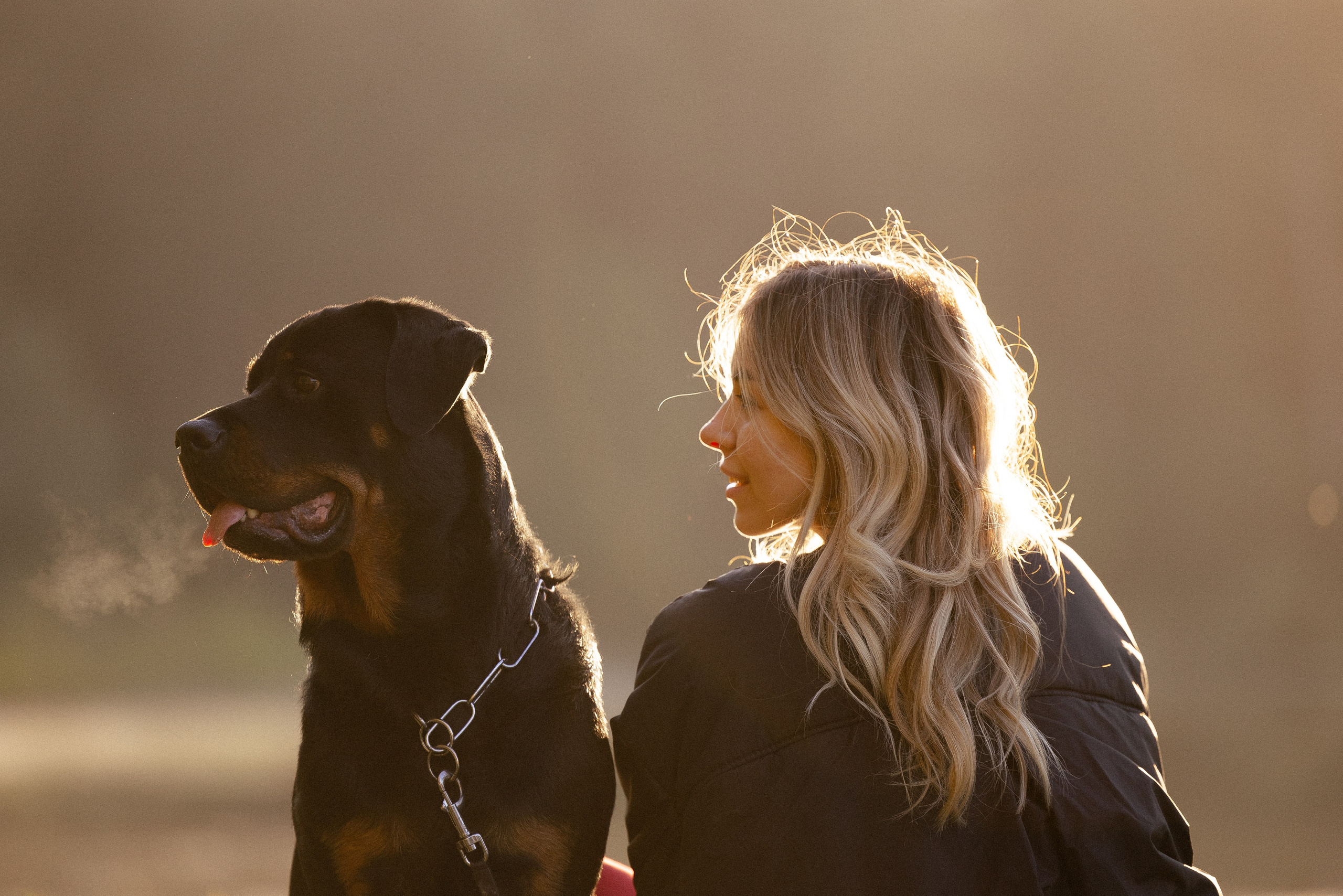 Катя, Леша, Лея и Трой. Фотограф и видеограф анималист Аганина Дарья