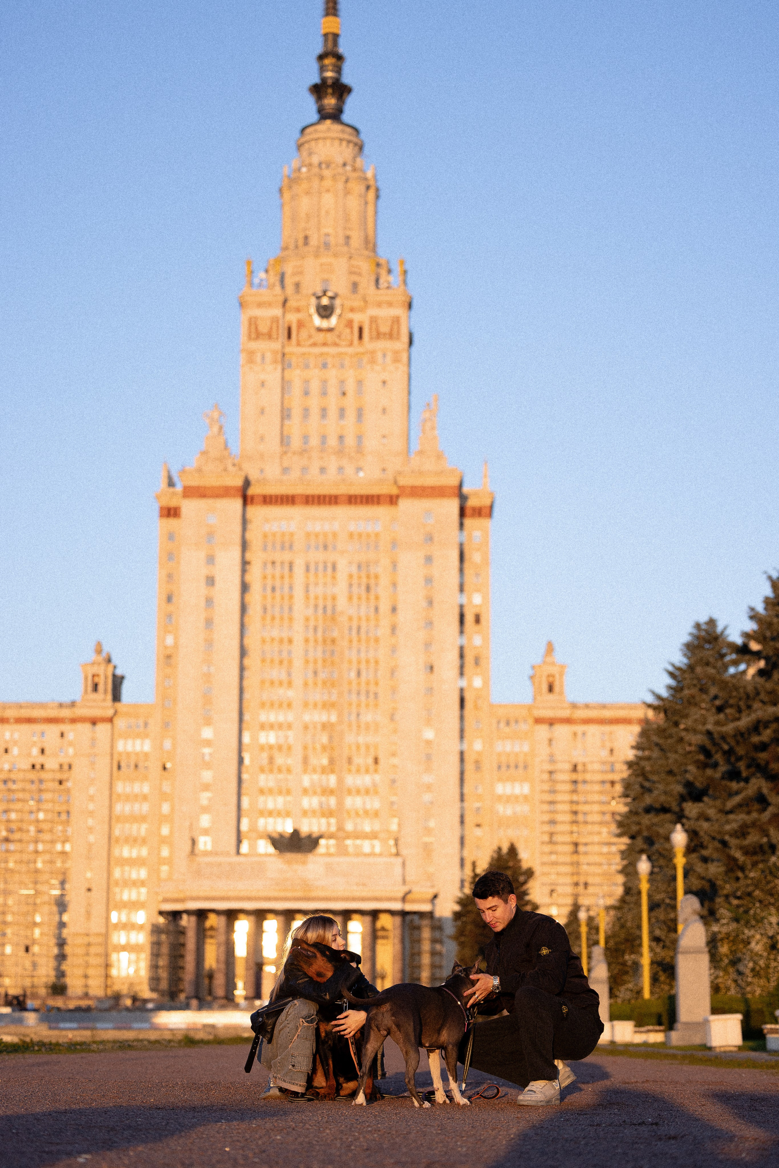 Катя, Леша, Лея и Трой. Фотограф и видеограф анималист Аганина Дарья