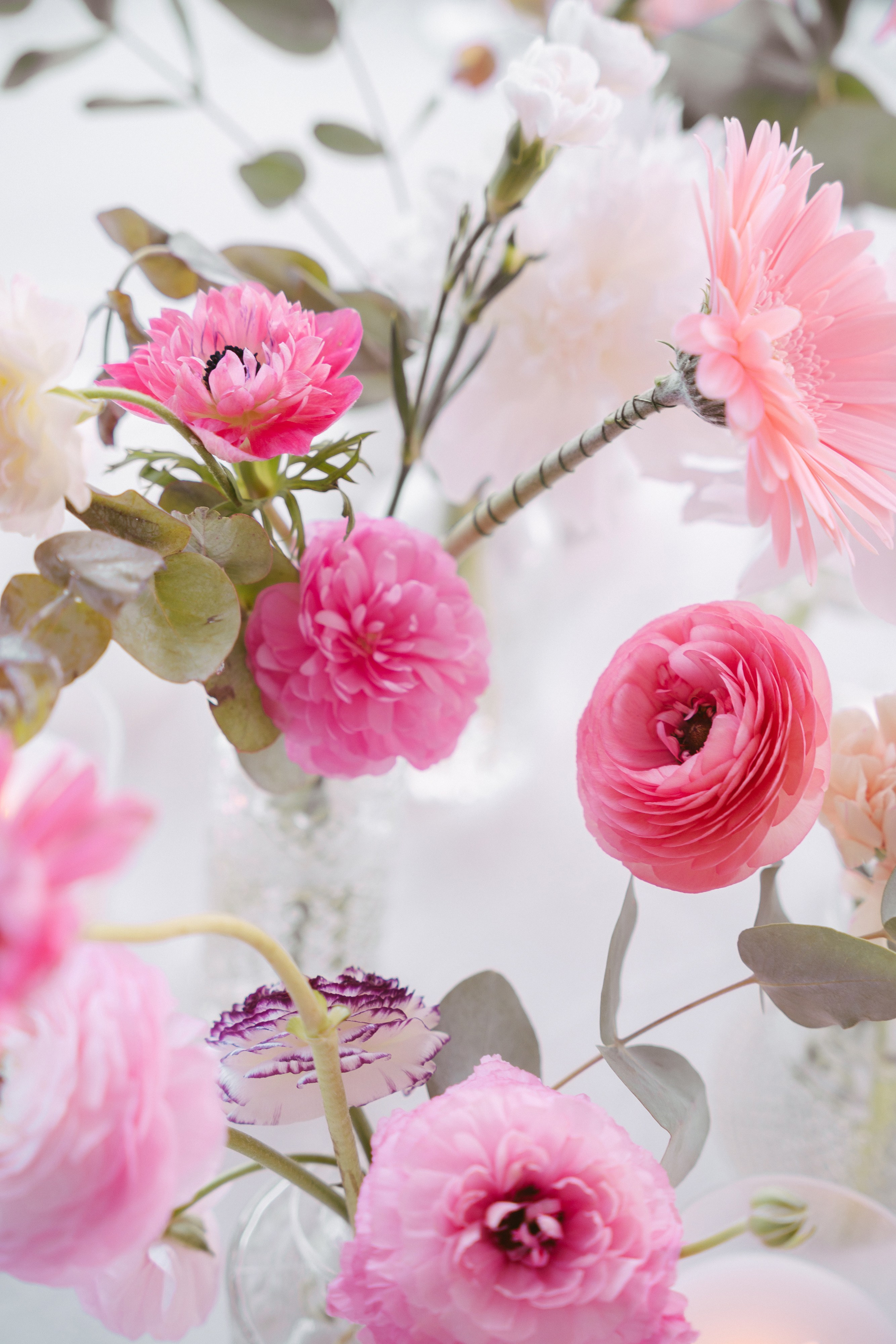 A&T. Свадебный, репортажный, семейный фотограф Елена Брюхова