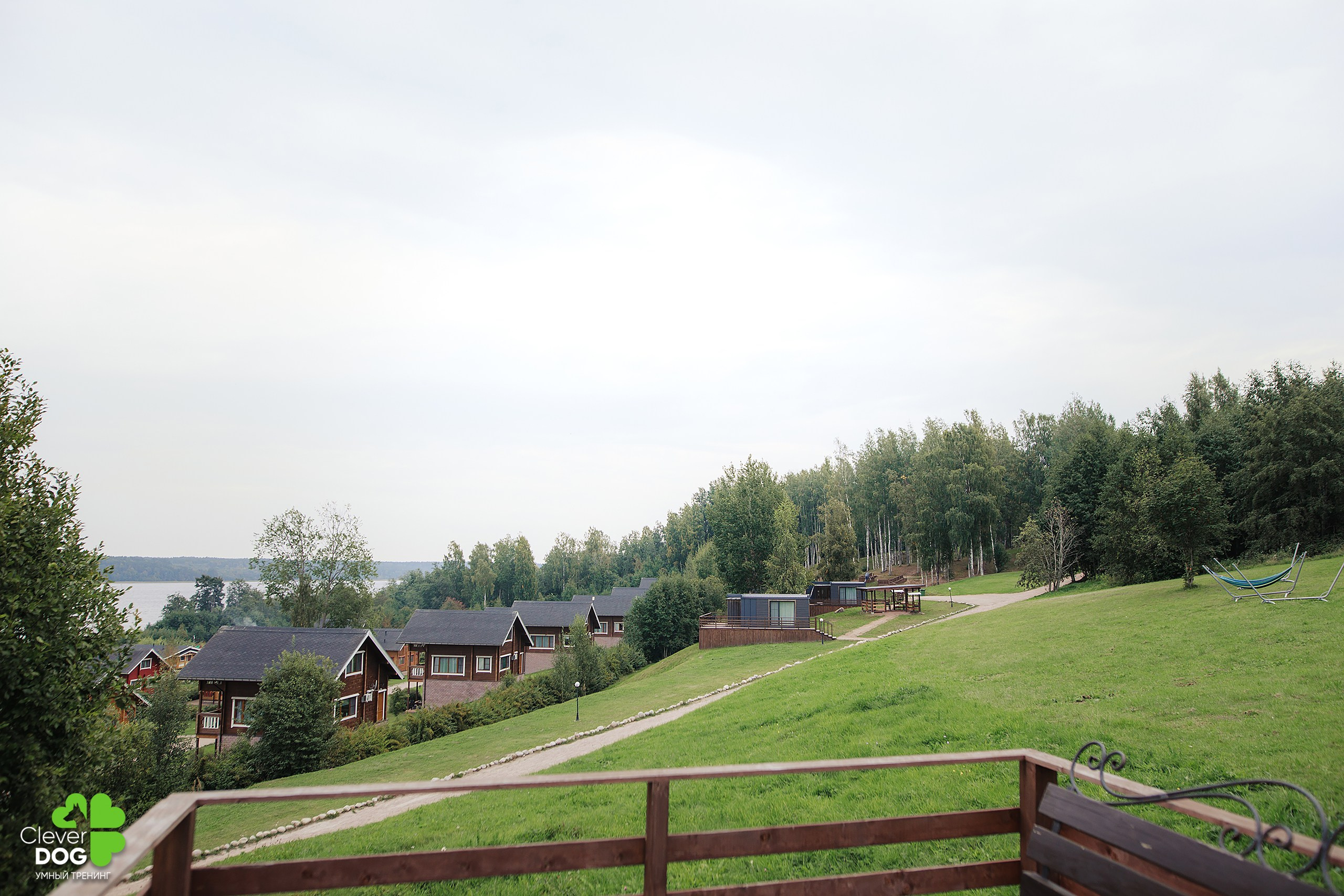 Кинологический лагерь CleverDog, 2024. Фотограф-анималист Mary Mart — Москва, Питер