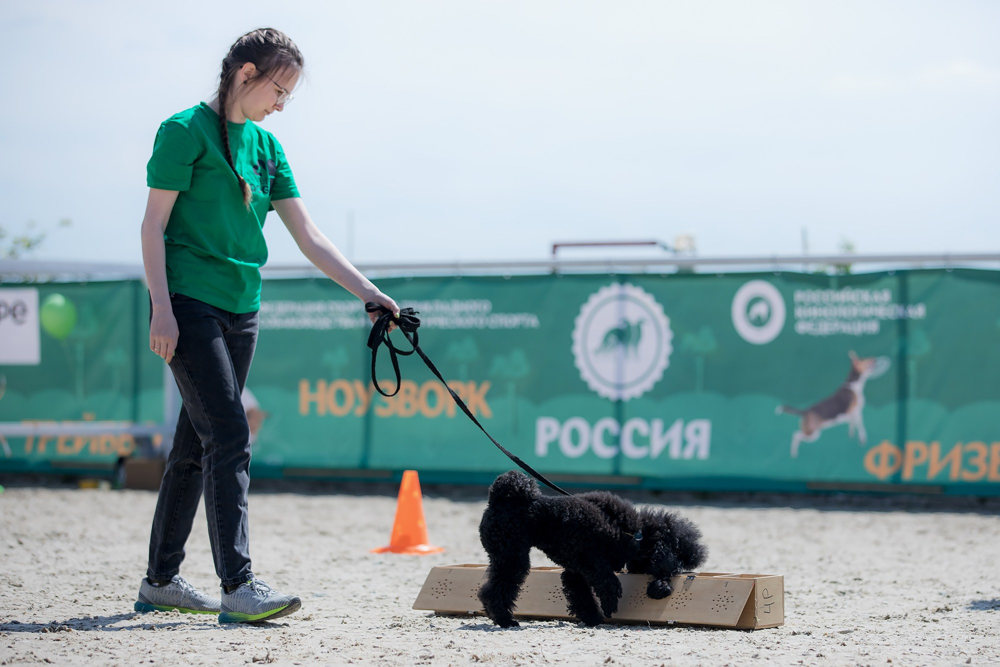 Показательные выступления по NoseWork на выставке «Россия». Фотограф-анималист Mary Mart — Москва, Питер