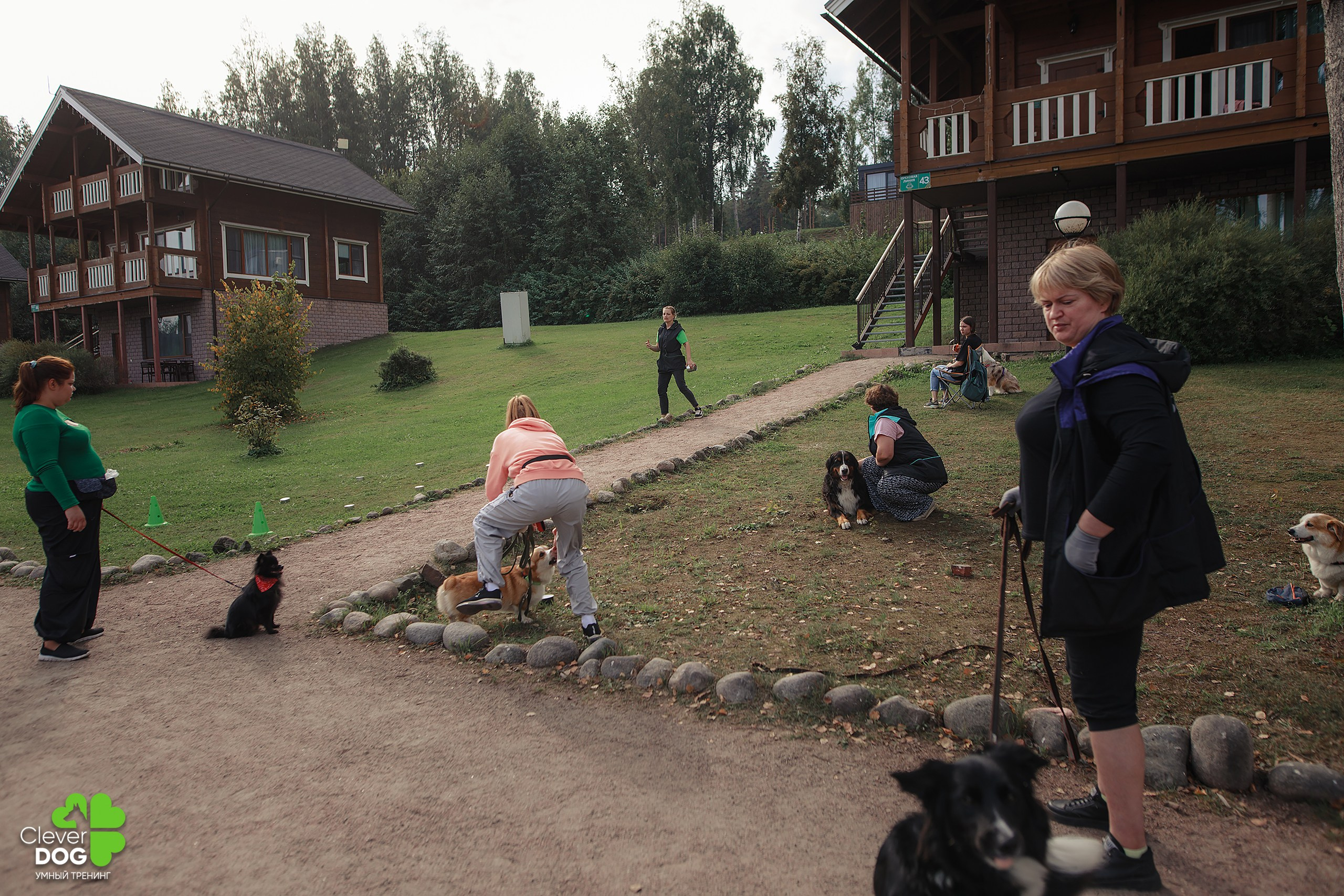 Кинологический лагерь CleverDog, 2024. Фотограф-анималист Mary Mart — Москва, Питер