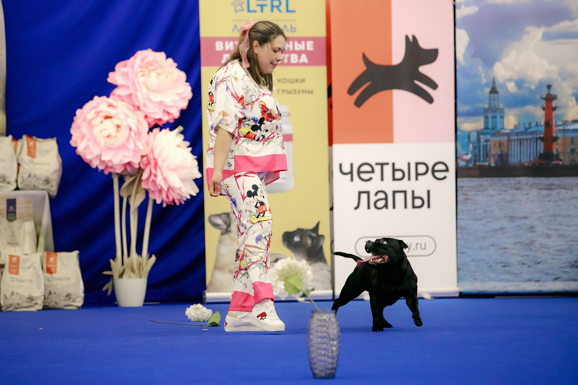 Танцы на выставке «Зоошоу», СПб. Фотограф-анималист Mary Mart — Москва, Питер