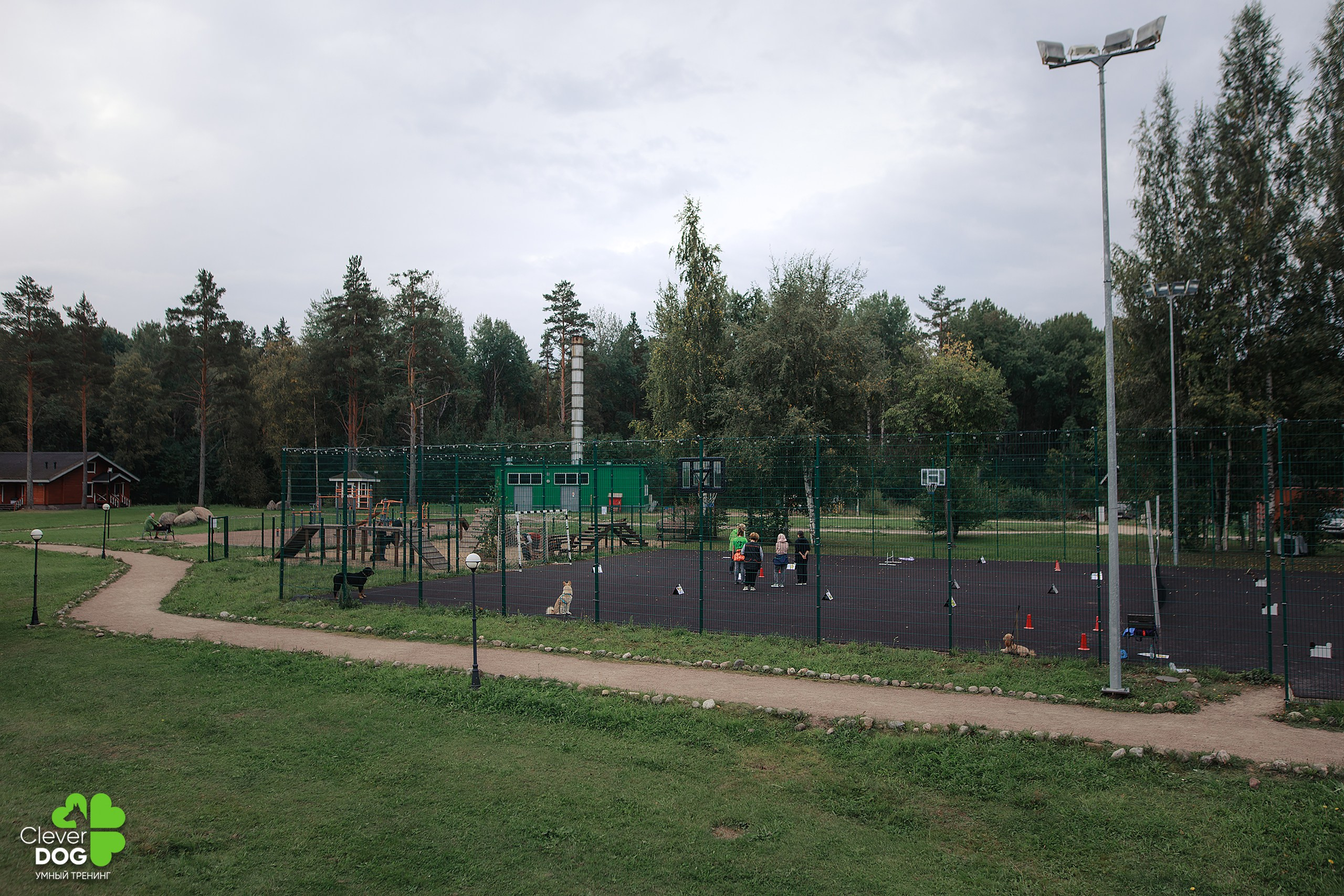 Кинологический лагерь CleverDog, 2024. Фотограф-анималист Mary Mart — Москва, Питер