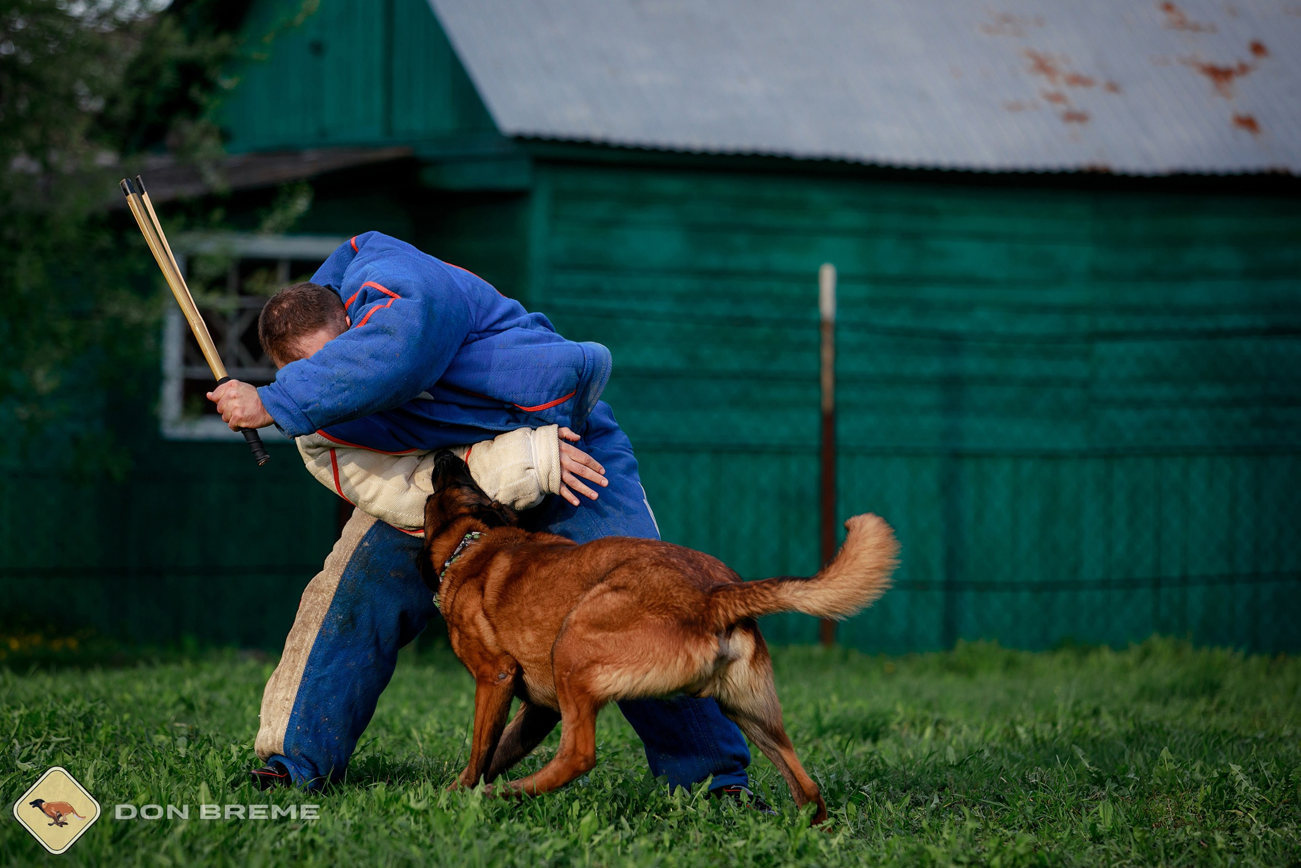 Семинар для фигурантов, день 2. Фотограф-анималист Mary Mart — Москва, Питер