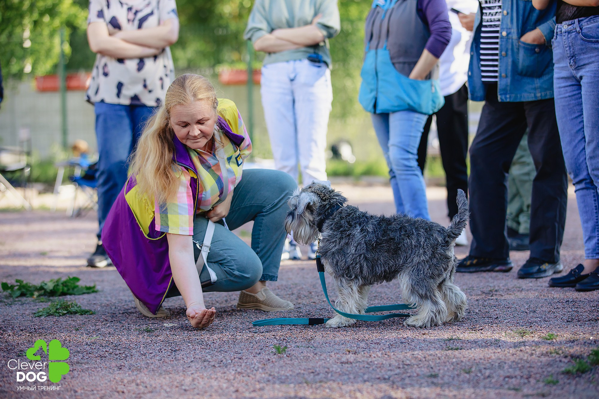 Семинар по поиску запаха с Иваном Ломовым, организатор CleverDog, СПб. Фотограф-анималист Mary Mart — Москва, Питер