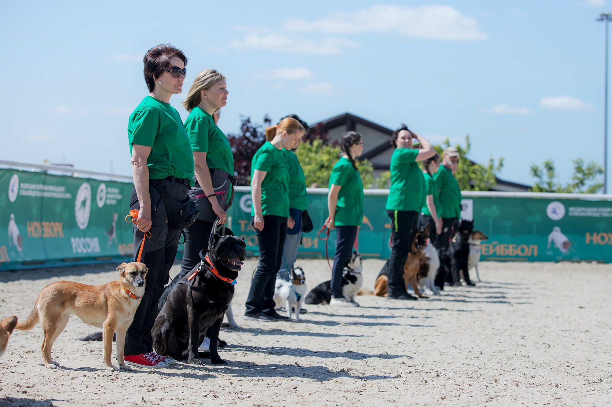 Показательные выступления по NoseWork на выставке «Россия». Фотограф-анималист Mary Mart — Москва, Питер