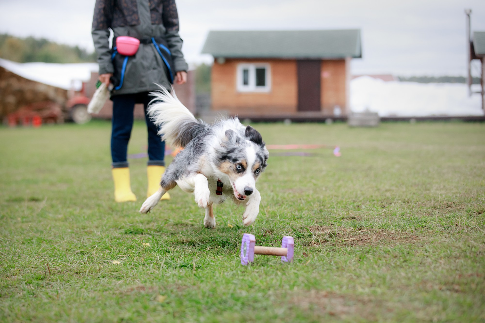 Лагерь по ОБД с Инной Баженовой. Фотограф-анималист Mary Mart — Москва, Питер