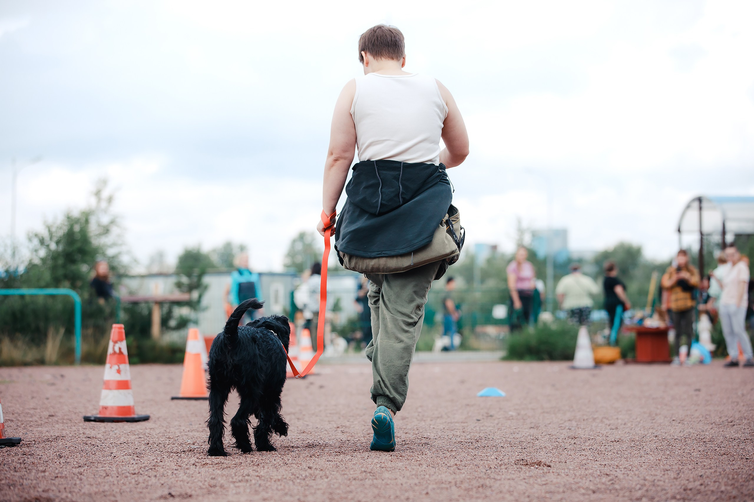 Питч&Гоу + веселые старты. Фотограф-анималист Mary Mart — Москва, Питер