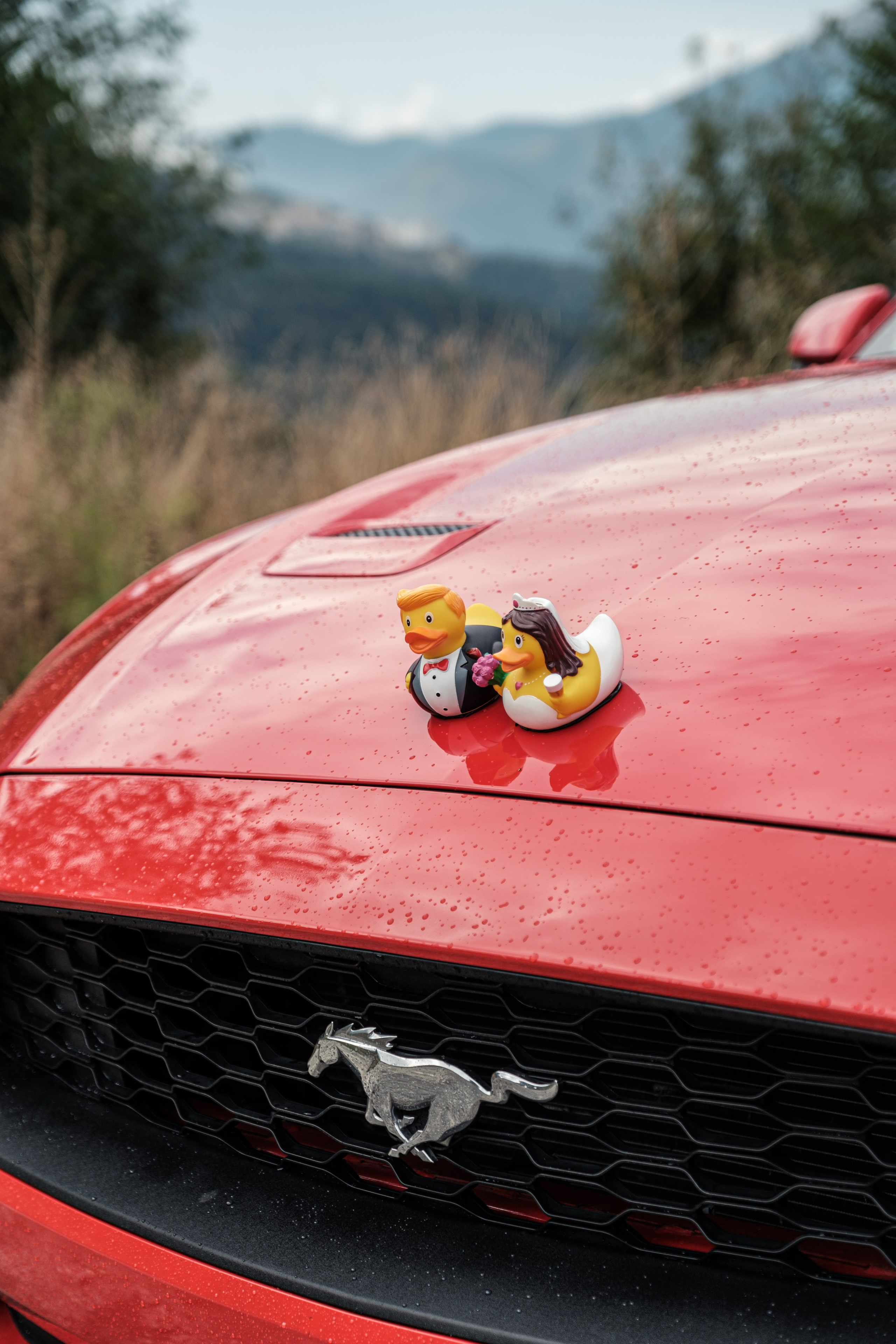 Виктория / Евгений. Свадебный Видеограф Фотограф в Сочи