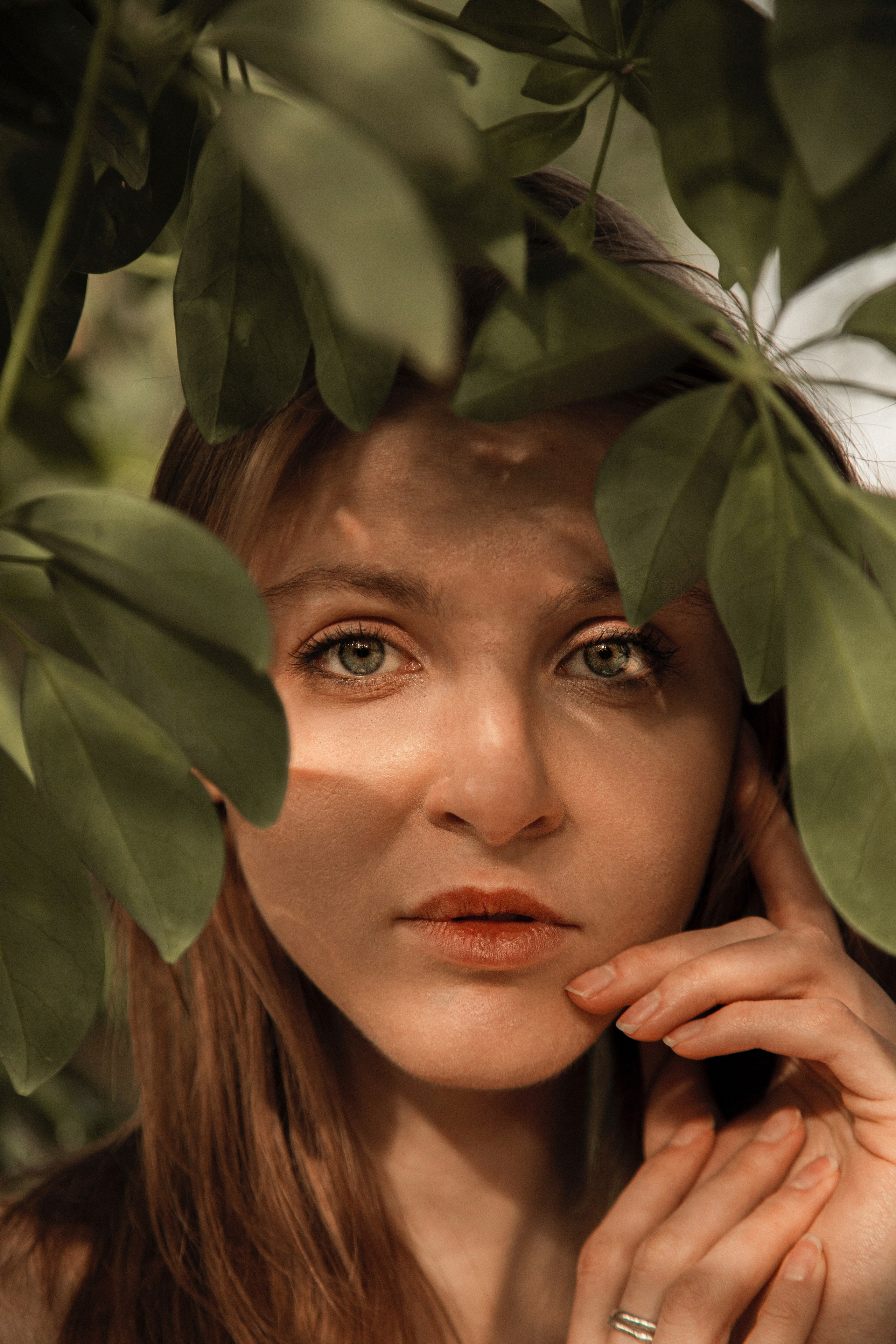 Оранжерея Таврического сада