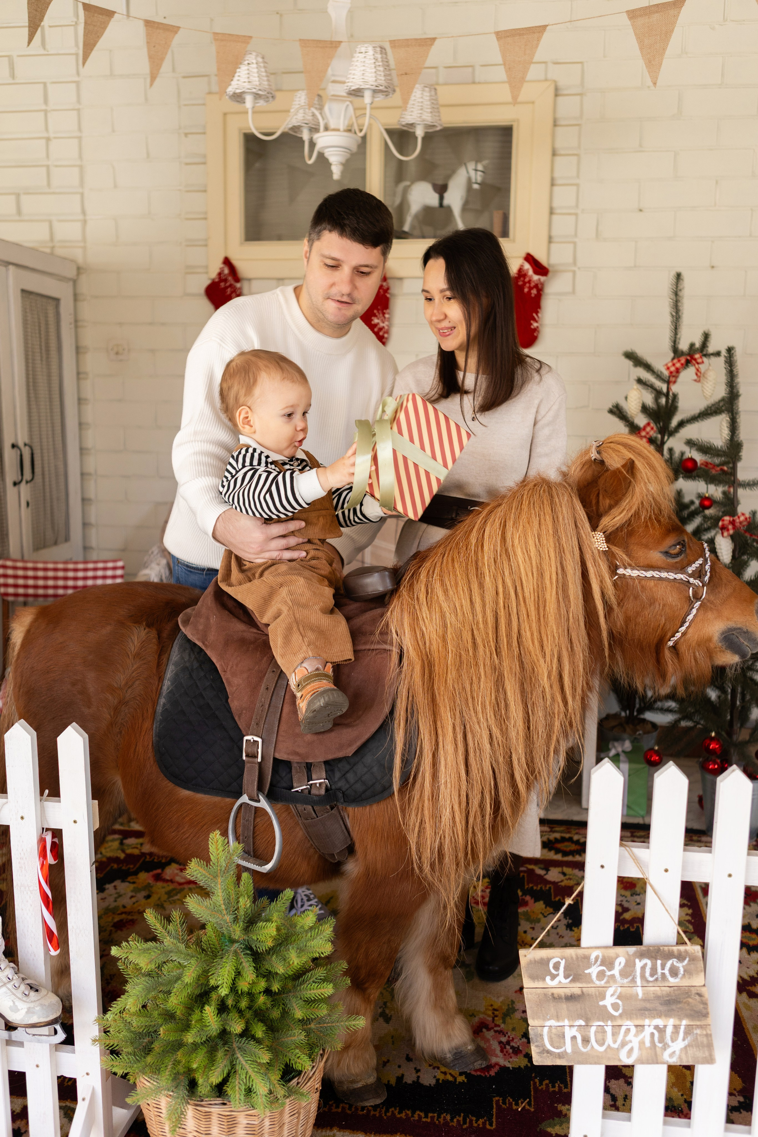 Символ 2026 года «Пони-Бонус». Фотостудия Ольги Сурухановой. Свадебный семейный и детский фотограф в Краснодаре Карина Федоровская