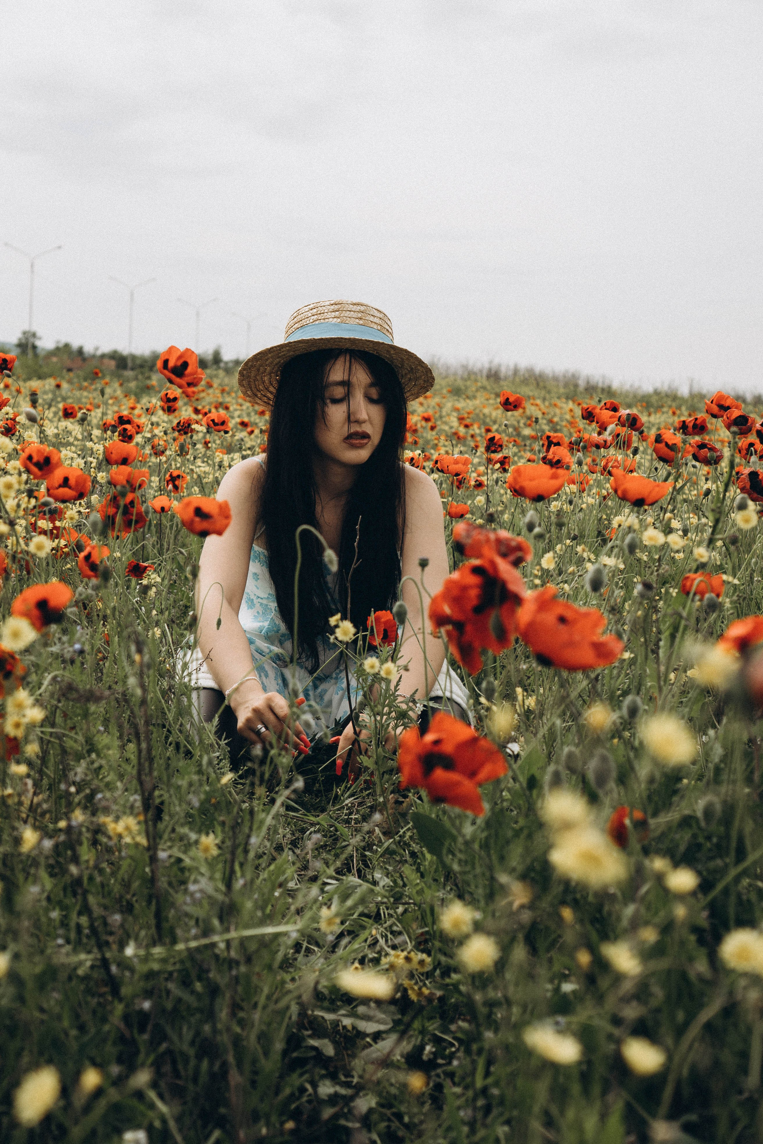 Цветочная поляна. Профессиональный фотограф, Санкт-Петербург — Виктория Богомолова