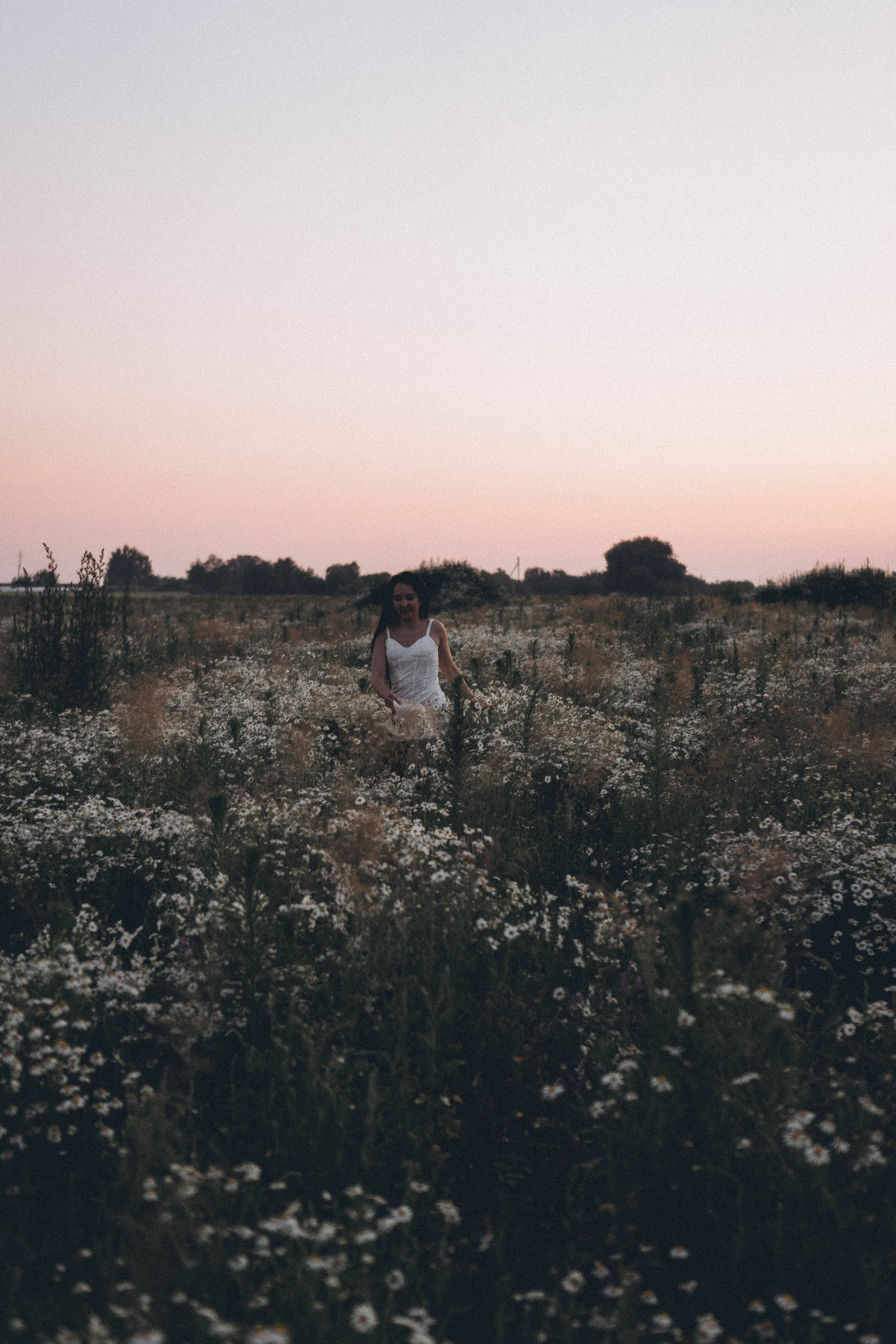 Ромашковое поле. Профессиональный фотограф, Санкт-Петербург — Виктория Богомолова