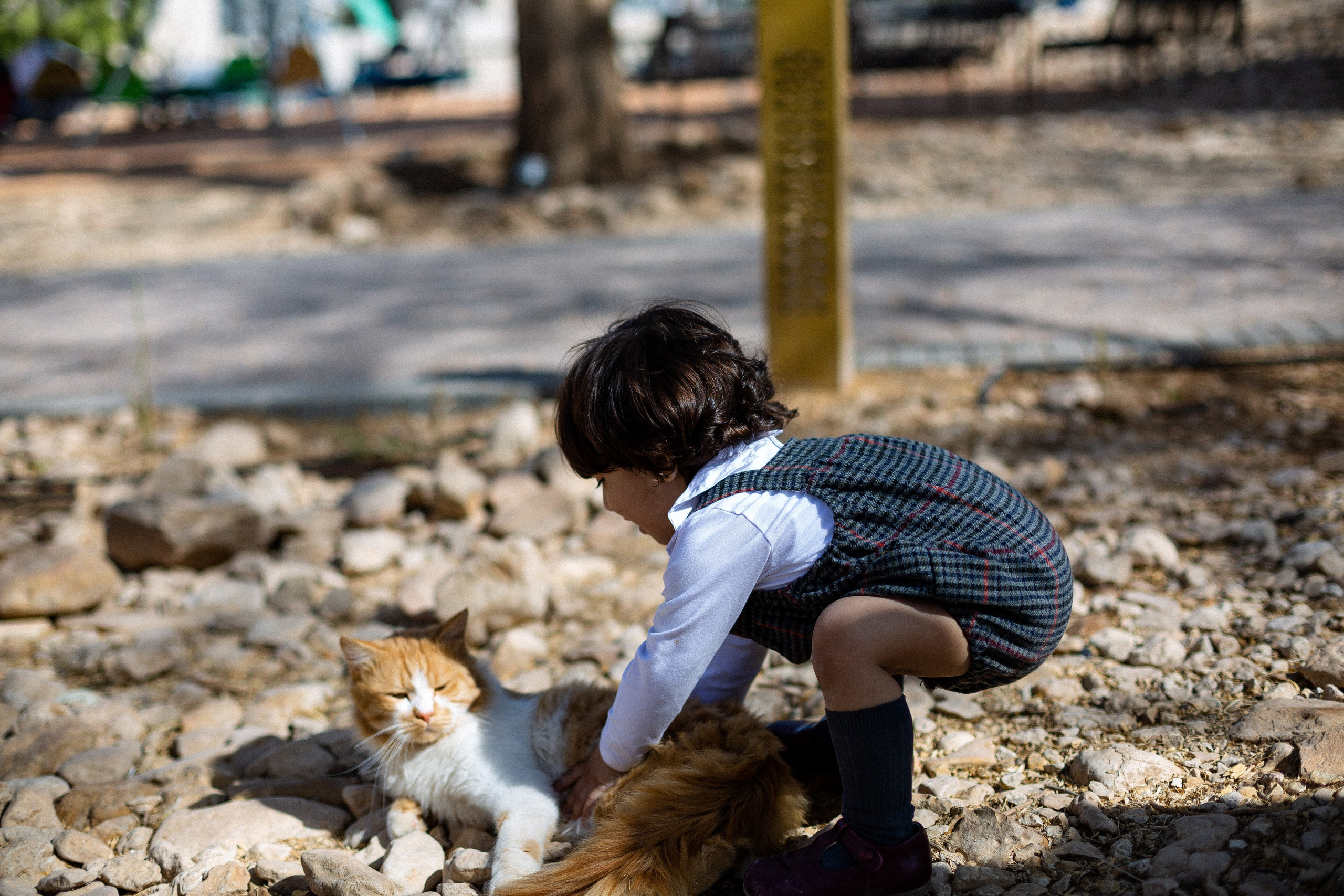 Дияб и Мухаммед