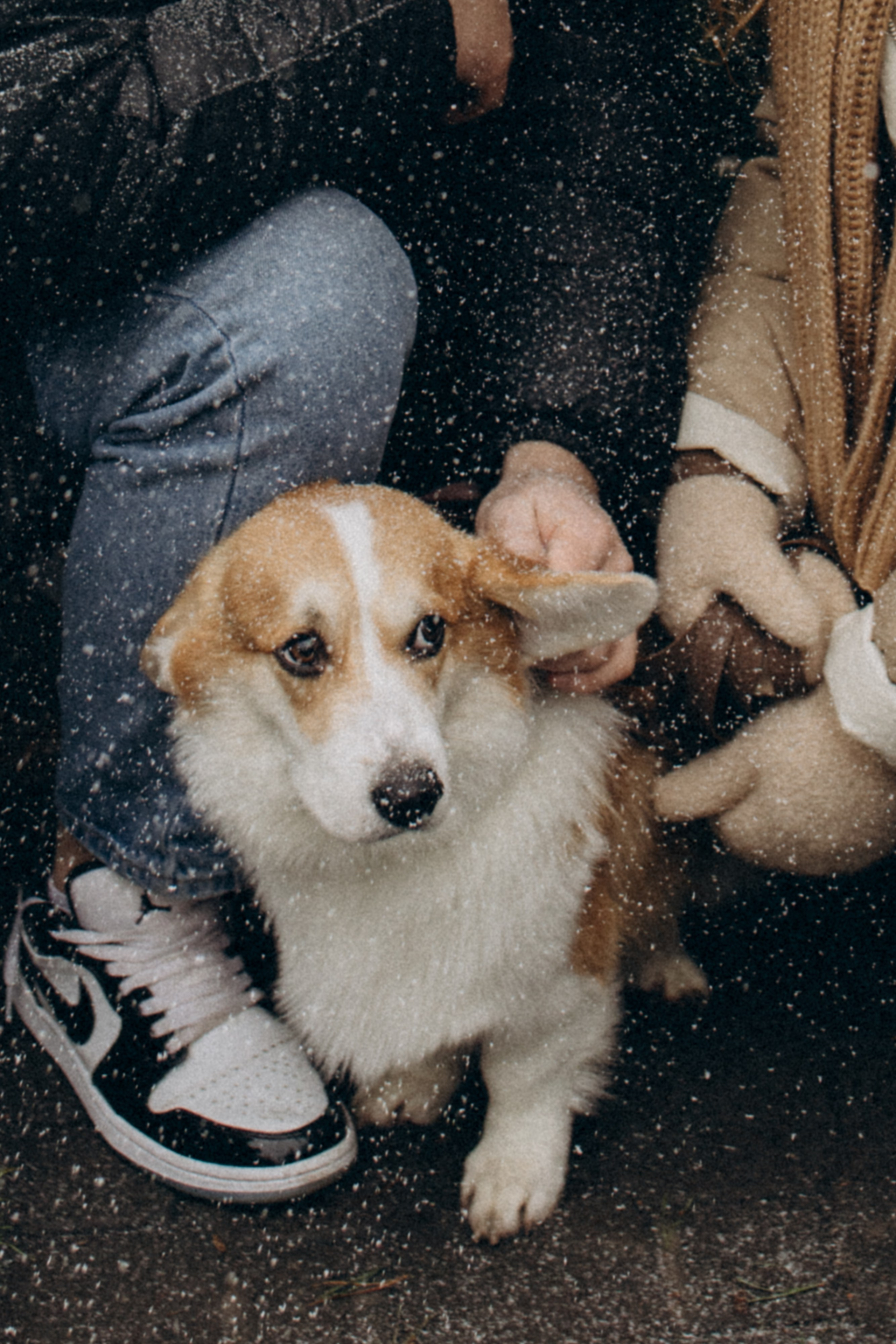 Николь и Богдан