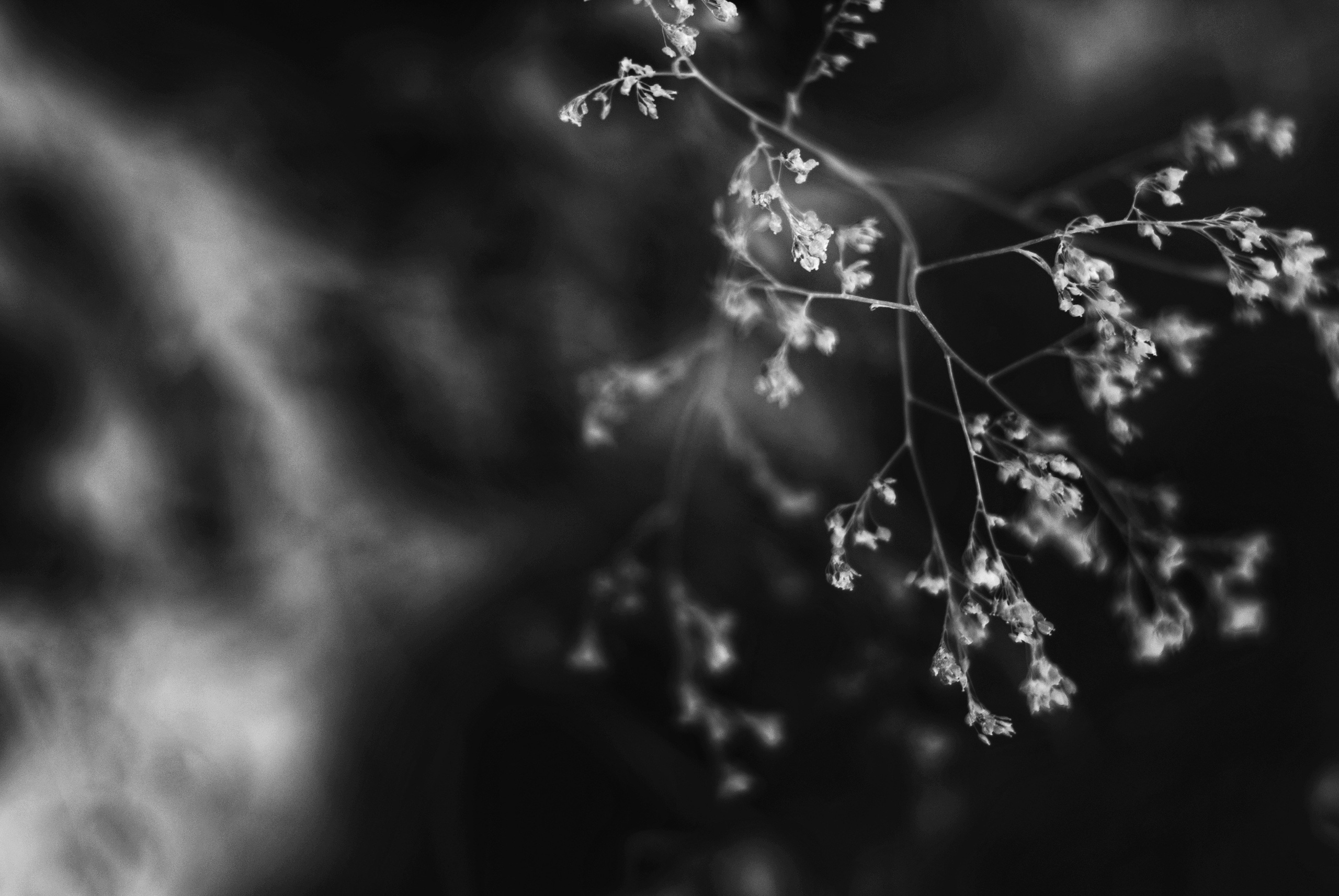 Внутривенные сны (2018-2023)