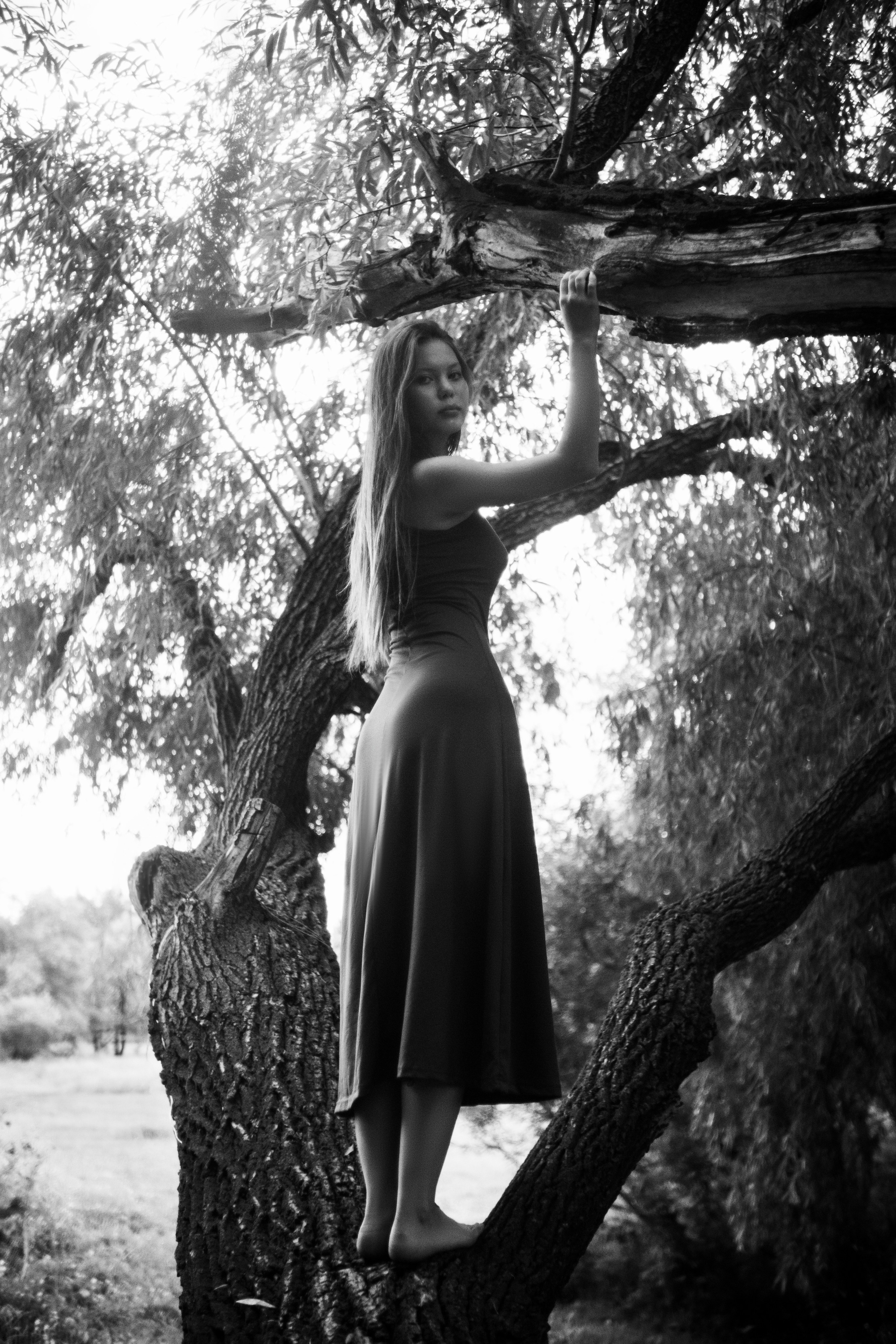 Дарна на дереве. Фотограф Коробова Екатерина