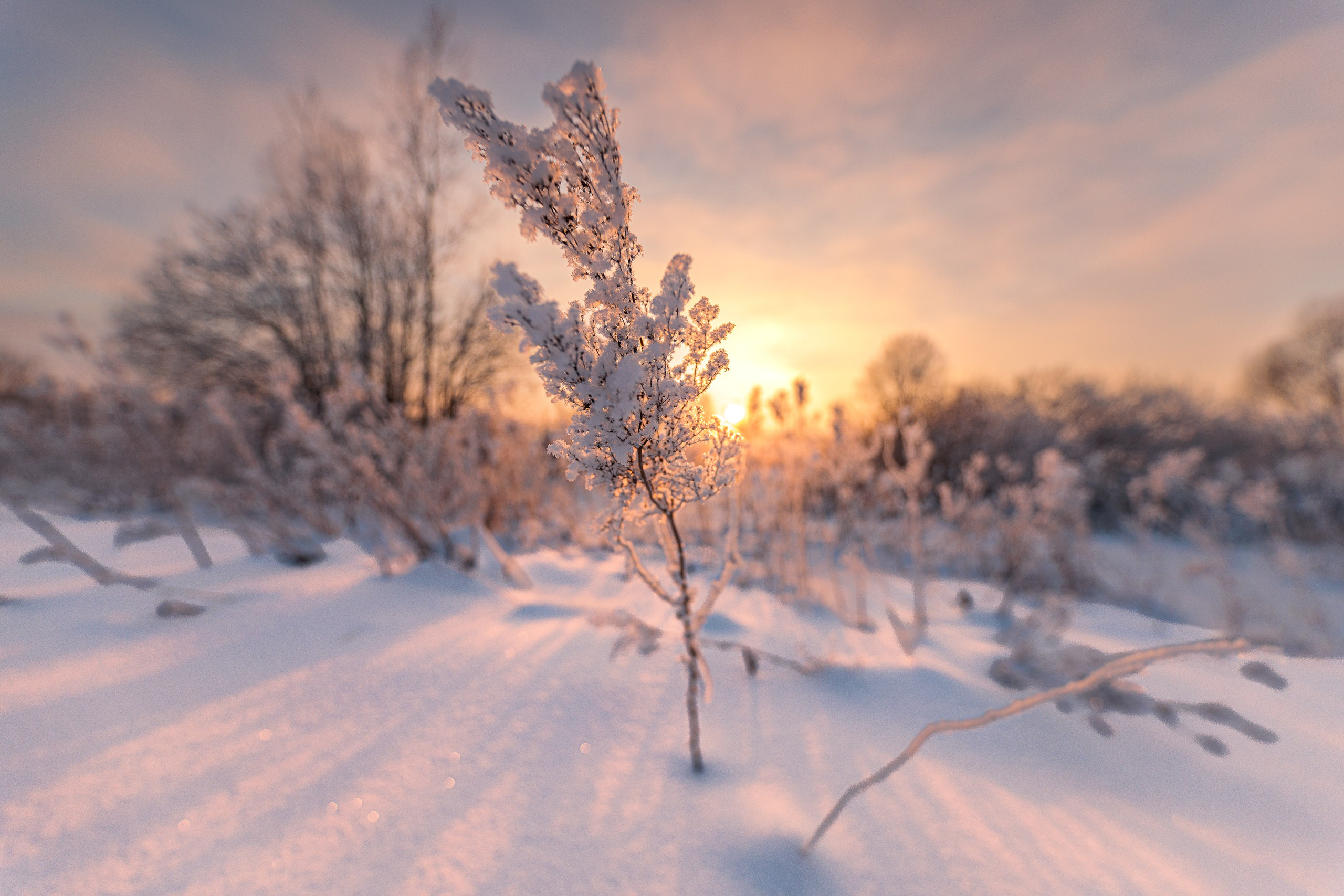 Пейзаж (вич рн) Закат. Владимир Петухов — фотограф в г. Кинешма. Оператор FPV