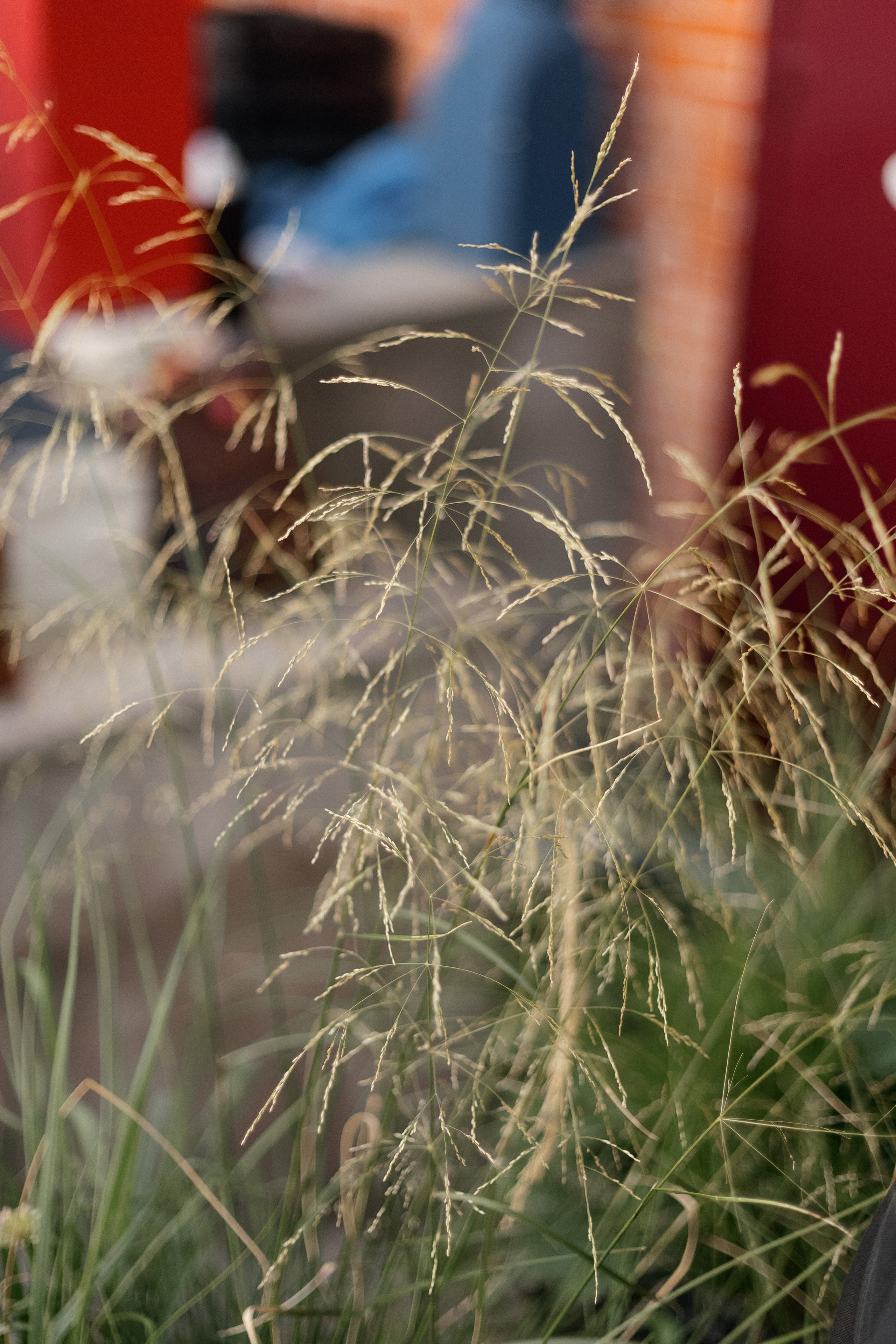 WALK-IN-DAY by MUKHINA TATTOO. СВОИ. ФОТООТЧЕТЫ-СОБЫТИЯ-МЕСТА