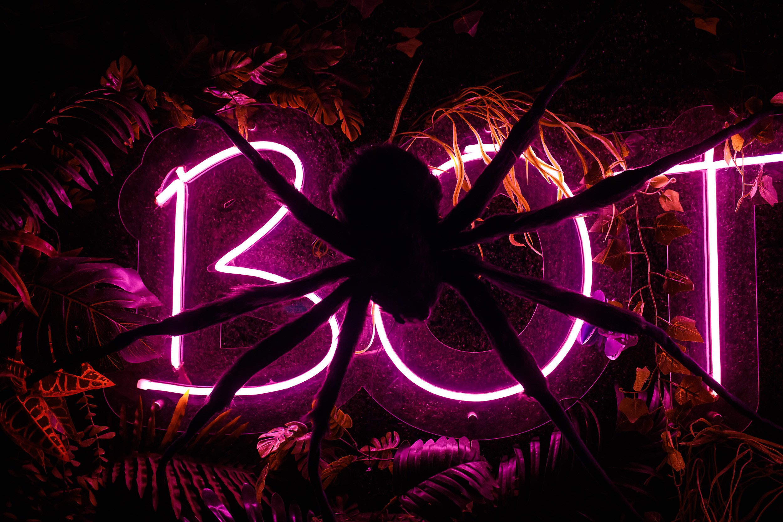 Botanica. Кипятком Павлодар