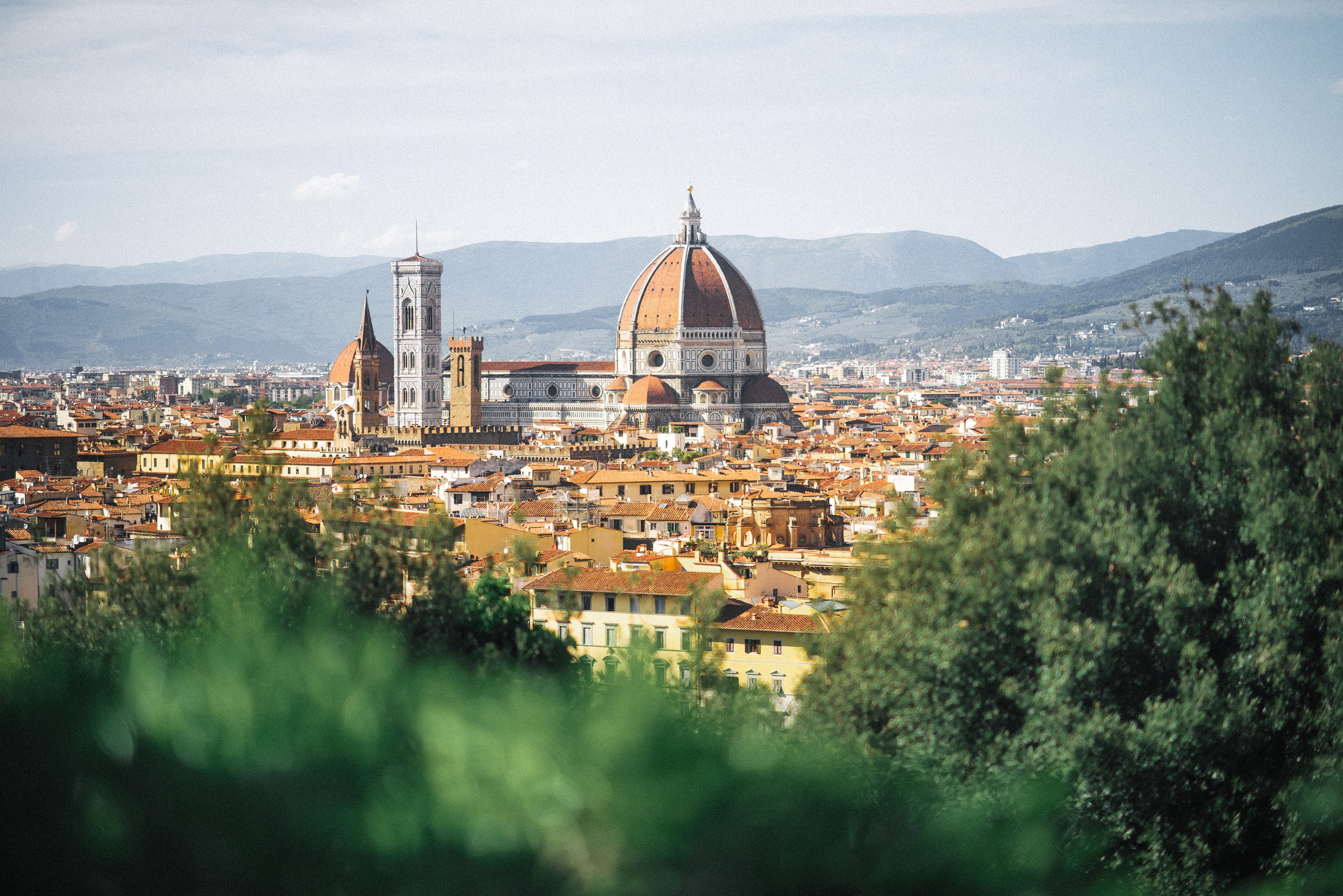 Свадебный фотограф Новосибирск