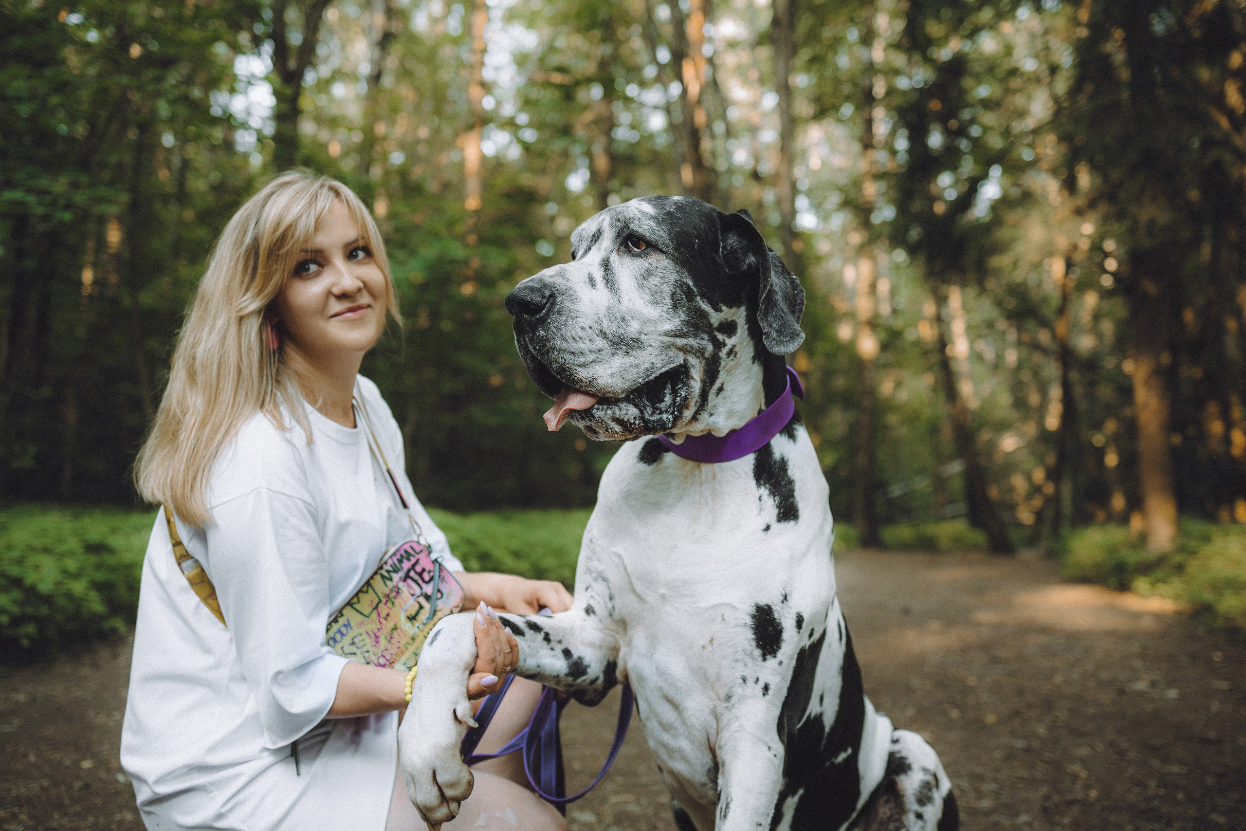 Катя, Андрей, Гектор, Ричи, Тортик и Трой