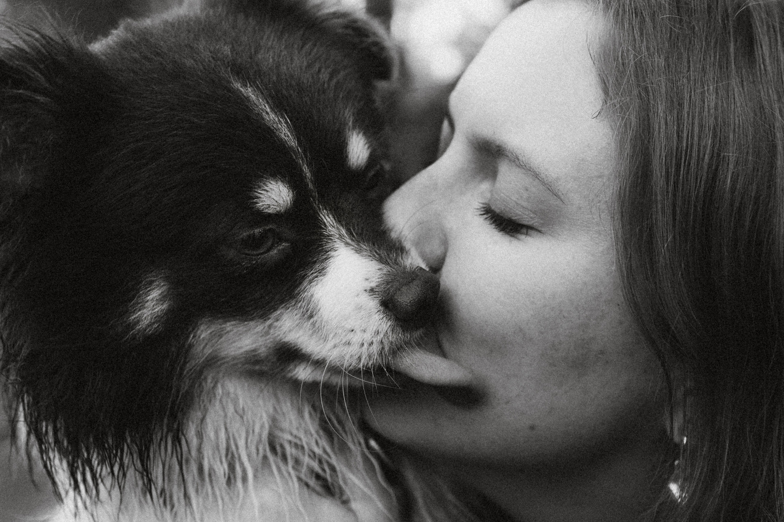 Фифа, Кнопка, Бублик и их семья