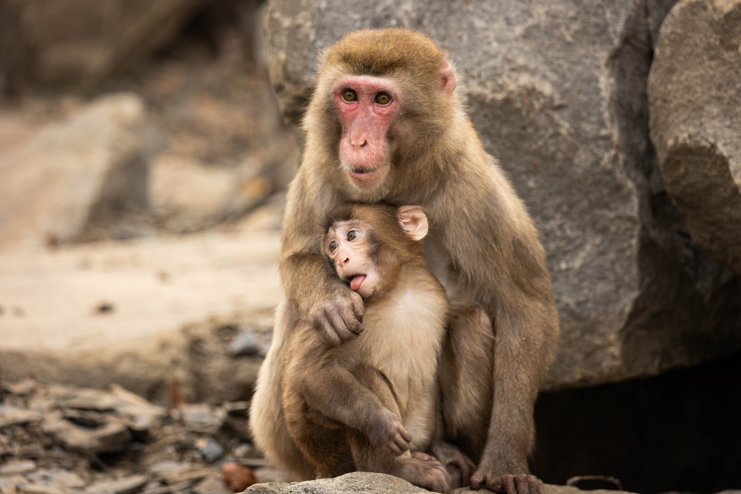 Парк Малинки 2026. Фотограф-АниМалист Анна Абрамова