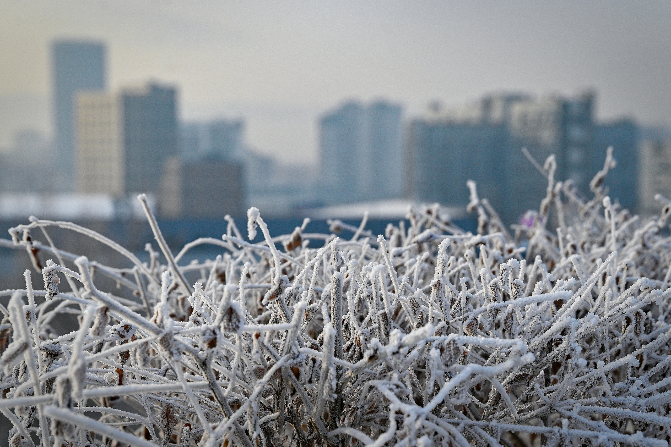 Сибирская зима прекрасна!. FotoGraf