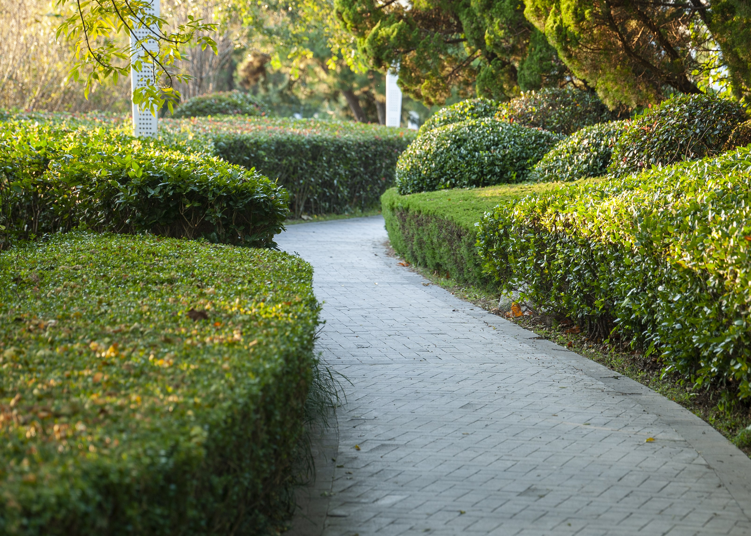 Циндао. Город у моря...