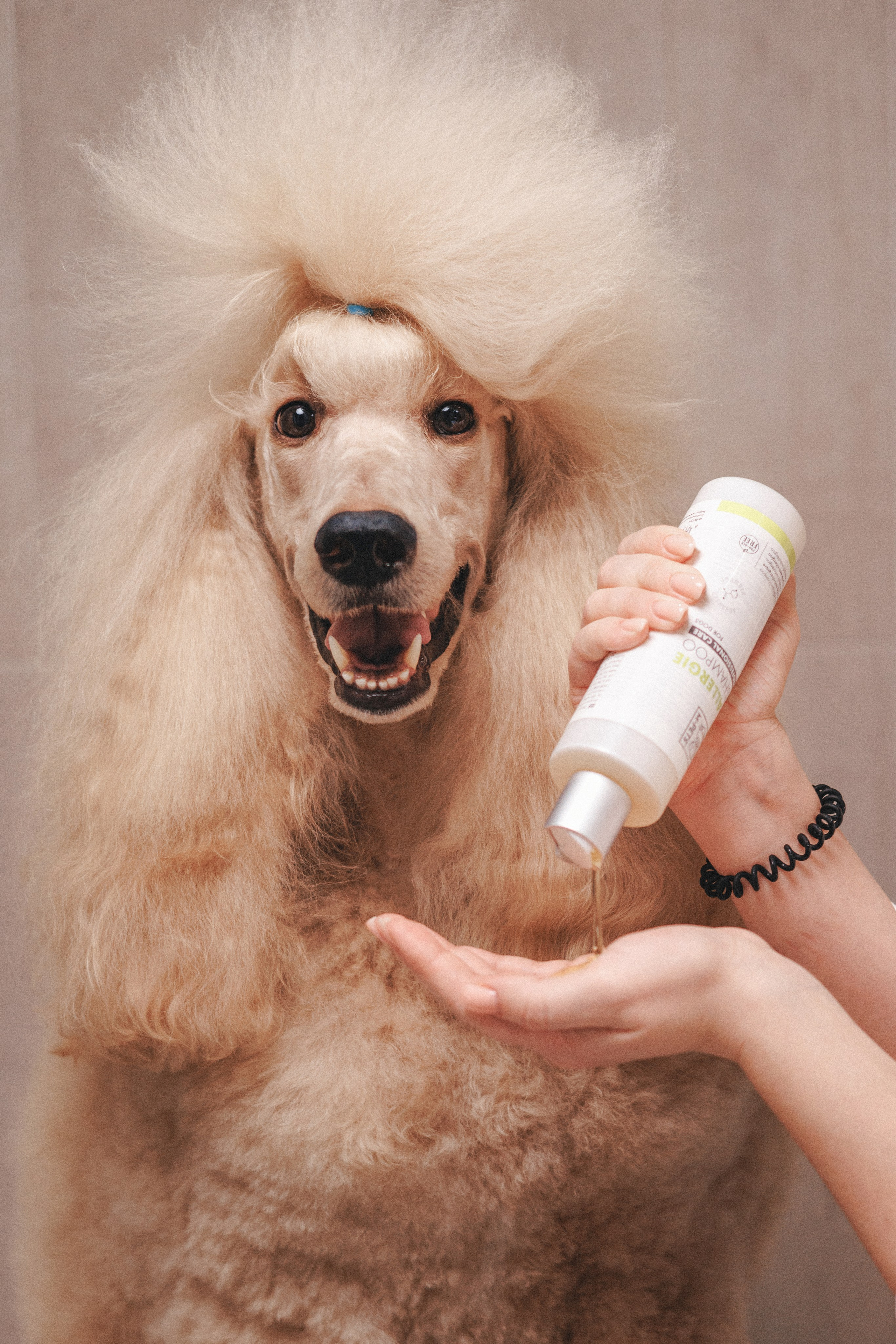 M-Pets. Фотограф анималист Осипчикова Мария