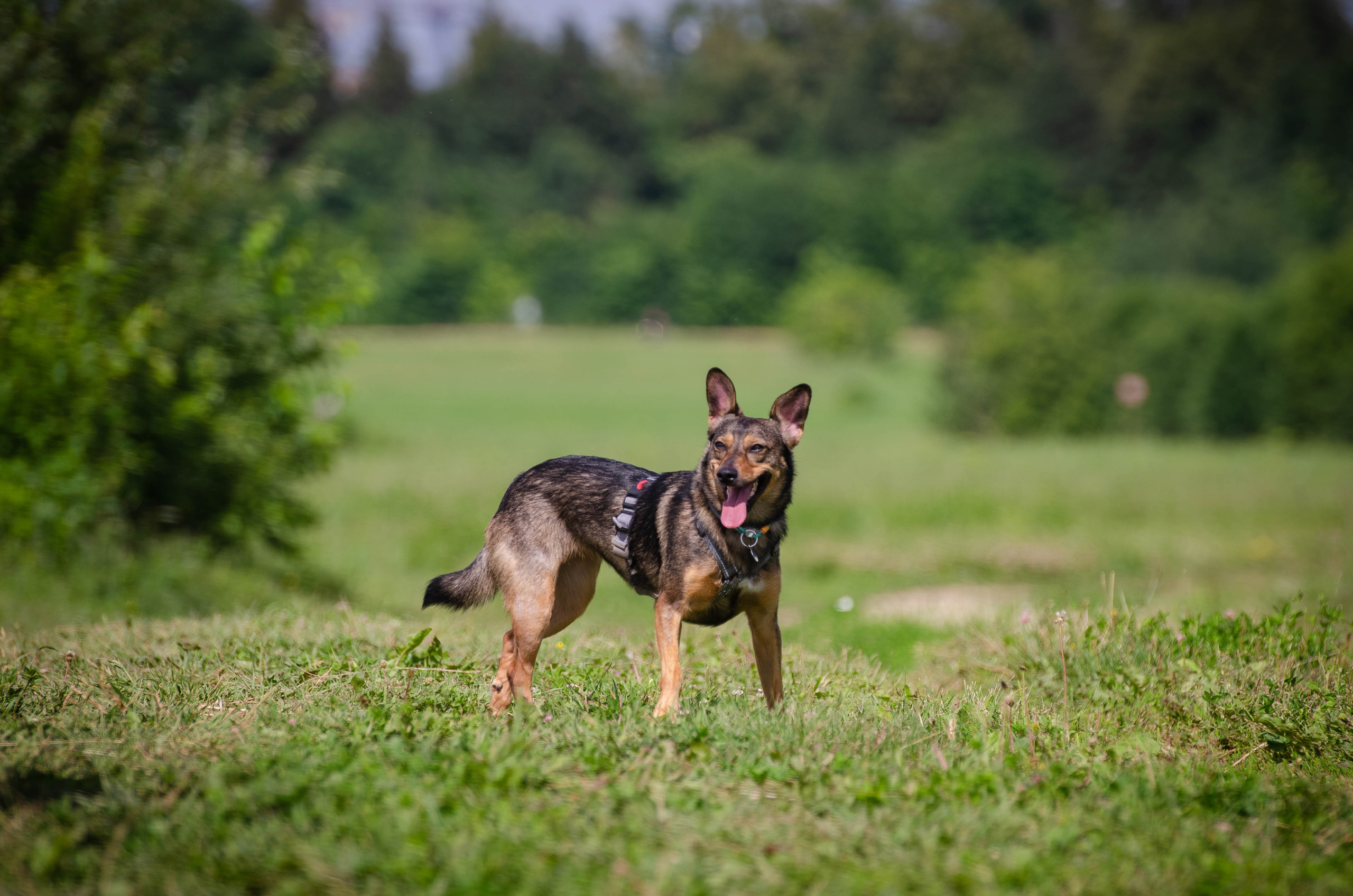 Прогулка (Лохин остров). Фотограф Светлана Блинова, Москва и Московская область