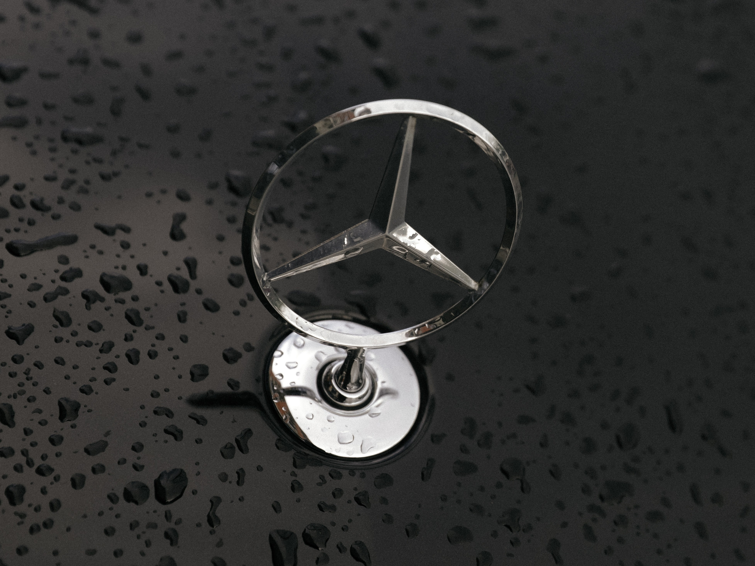 4020. Свадебный фотограф казань Пивоварова Айгуль