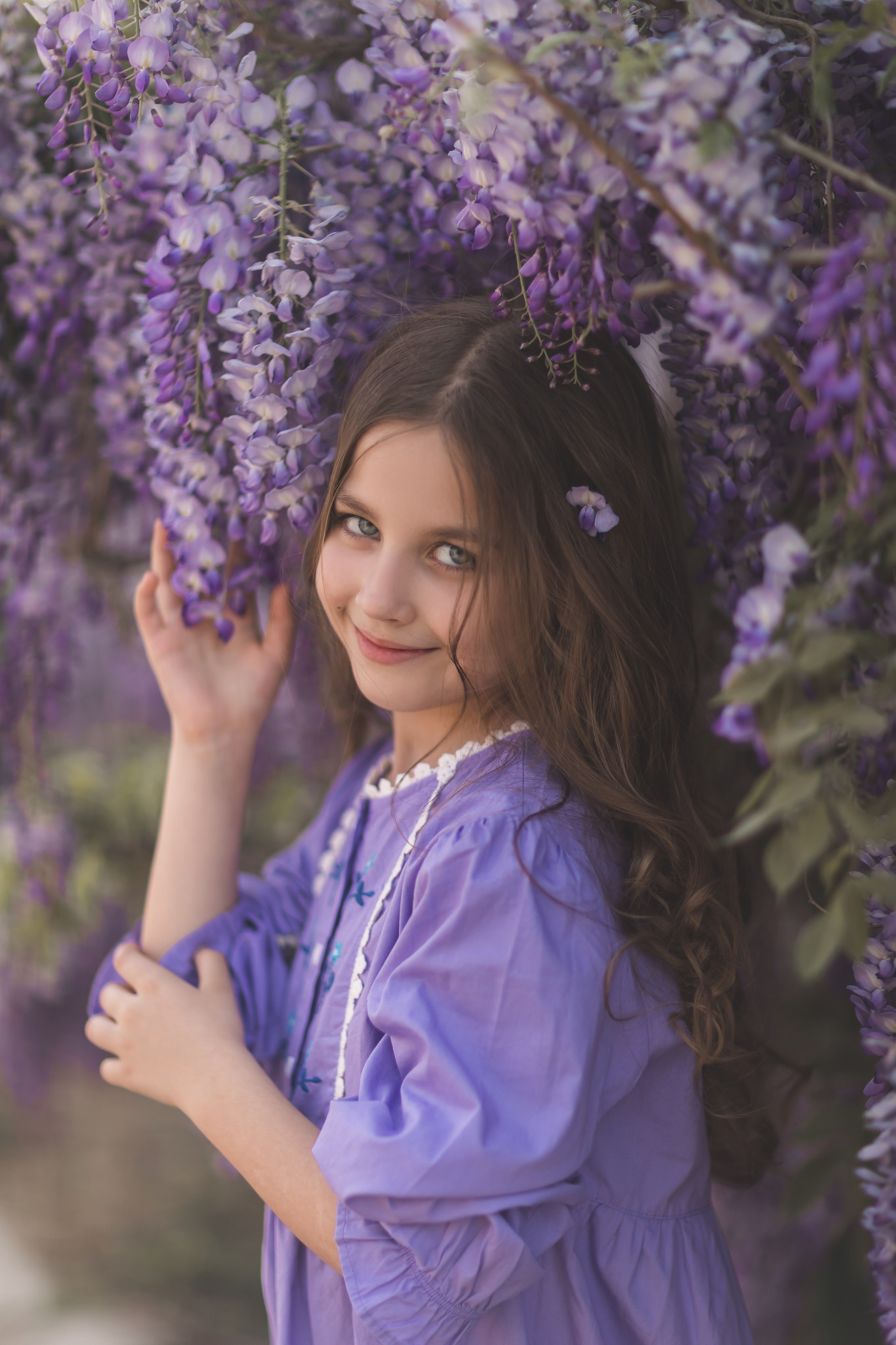 Глициния цветение в краснодаре. Семейный и детский фотограф Краснодар Валерия Власенко
