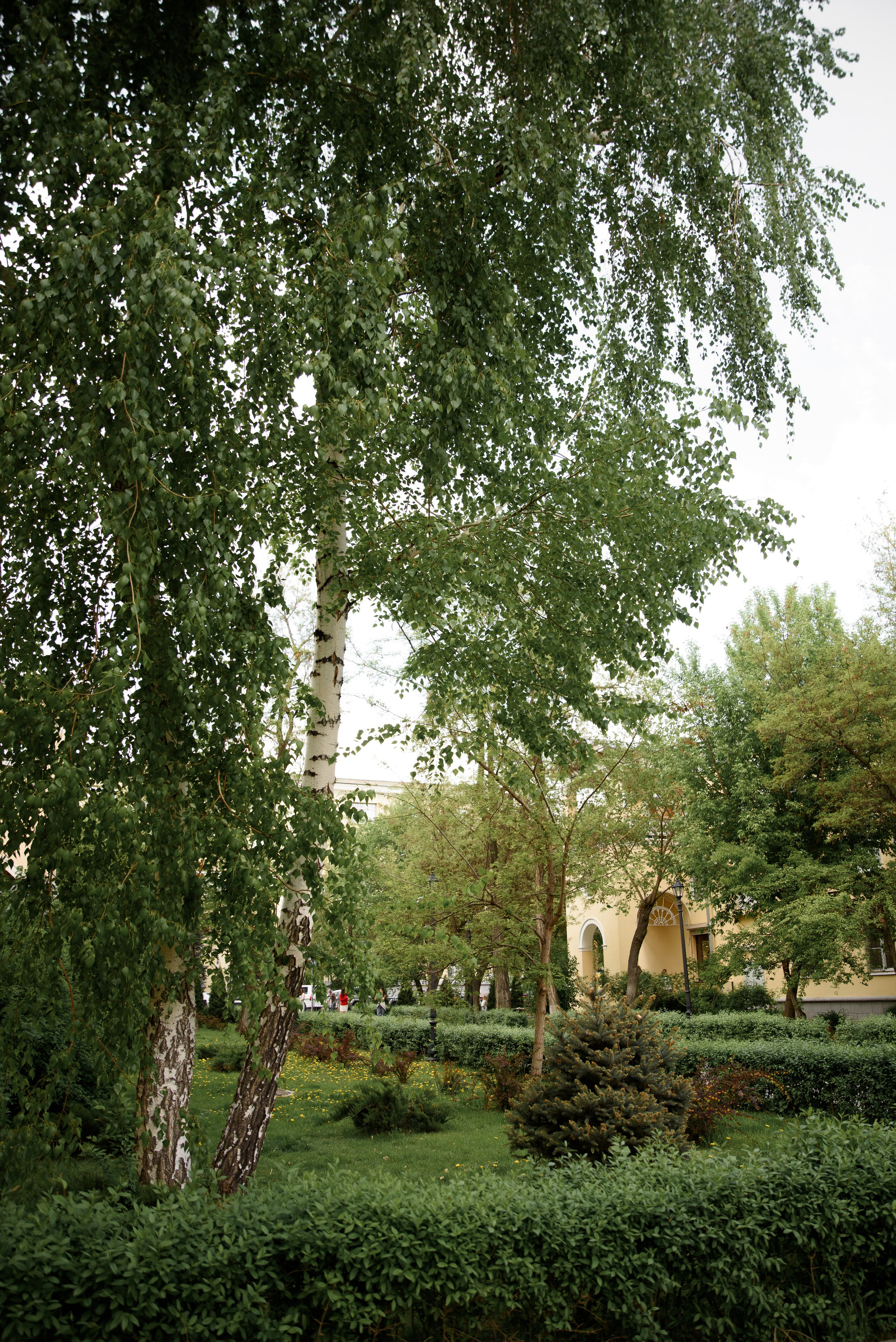 Свадебный фотограф Волгоград Ермашова Дарья. Свадебный, портретный фотограф в Волгограде Ермашова Дарья