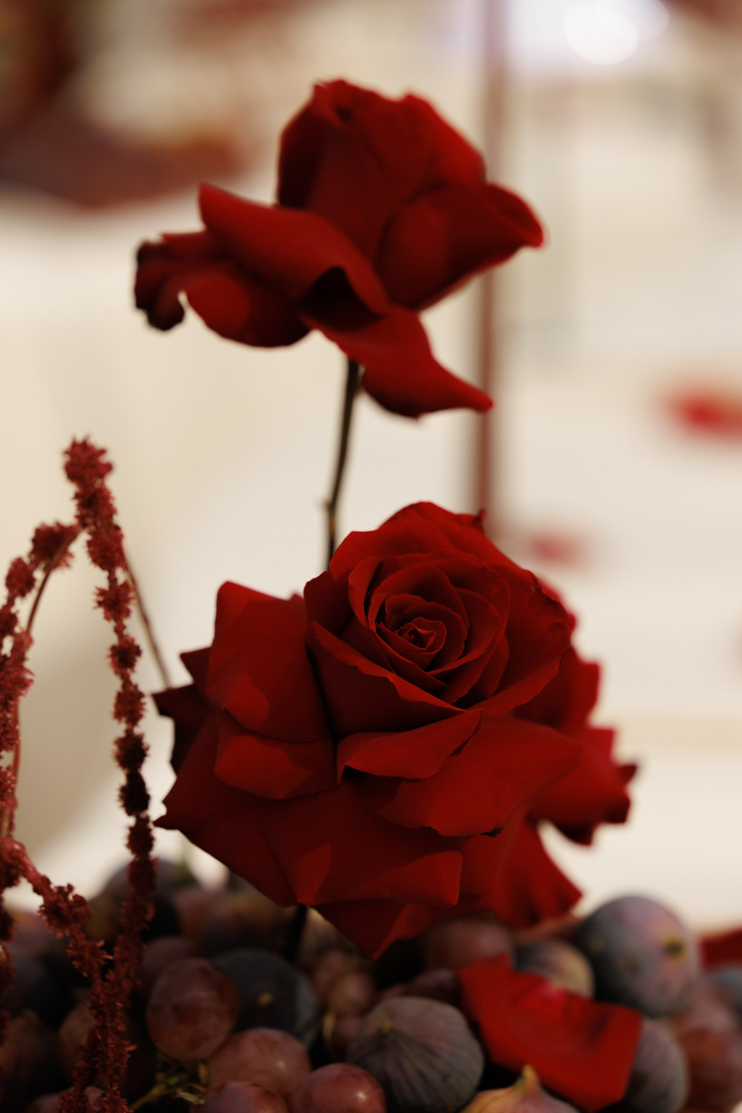 Wedding N&V. Свадебный фотограф Краснодар Юлия Ткаченко