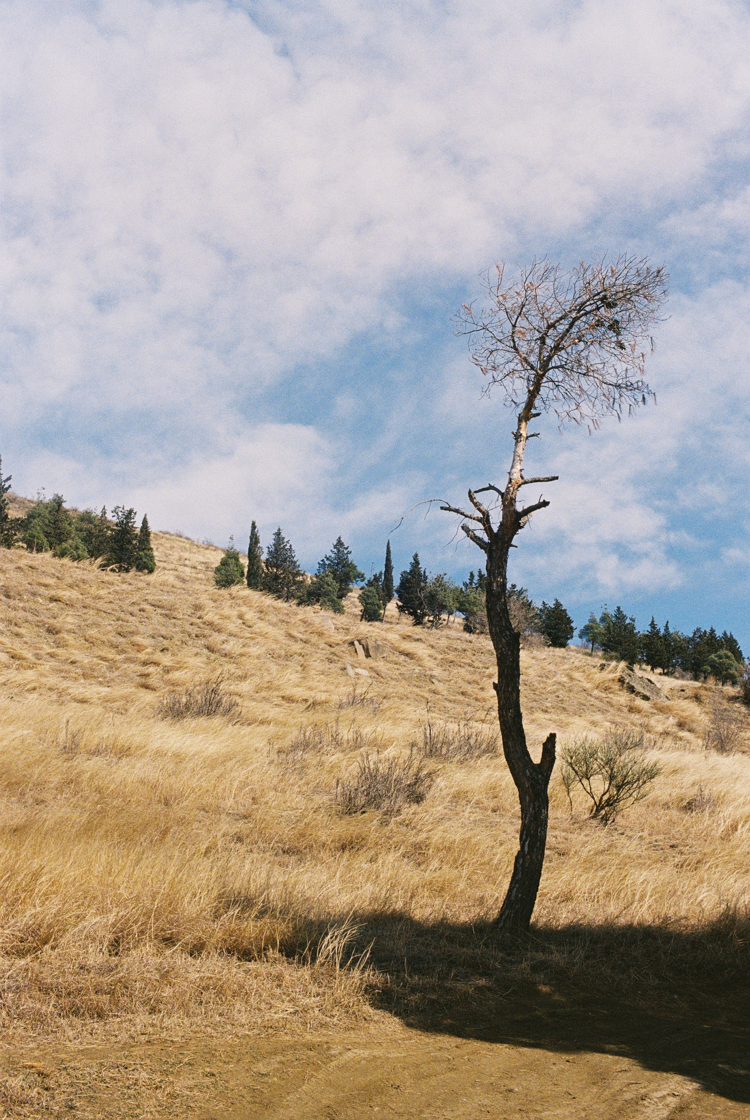EXHIBITION. Репортажный и интерьерный фотограф, фотохудожник