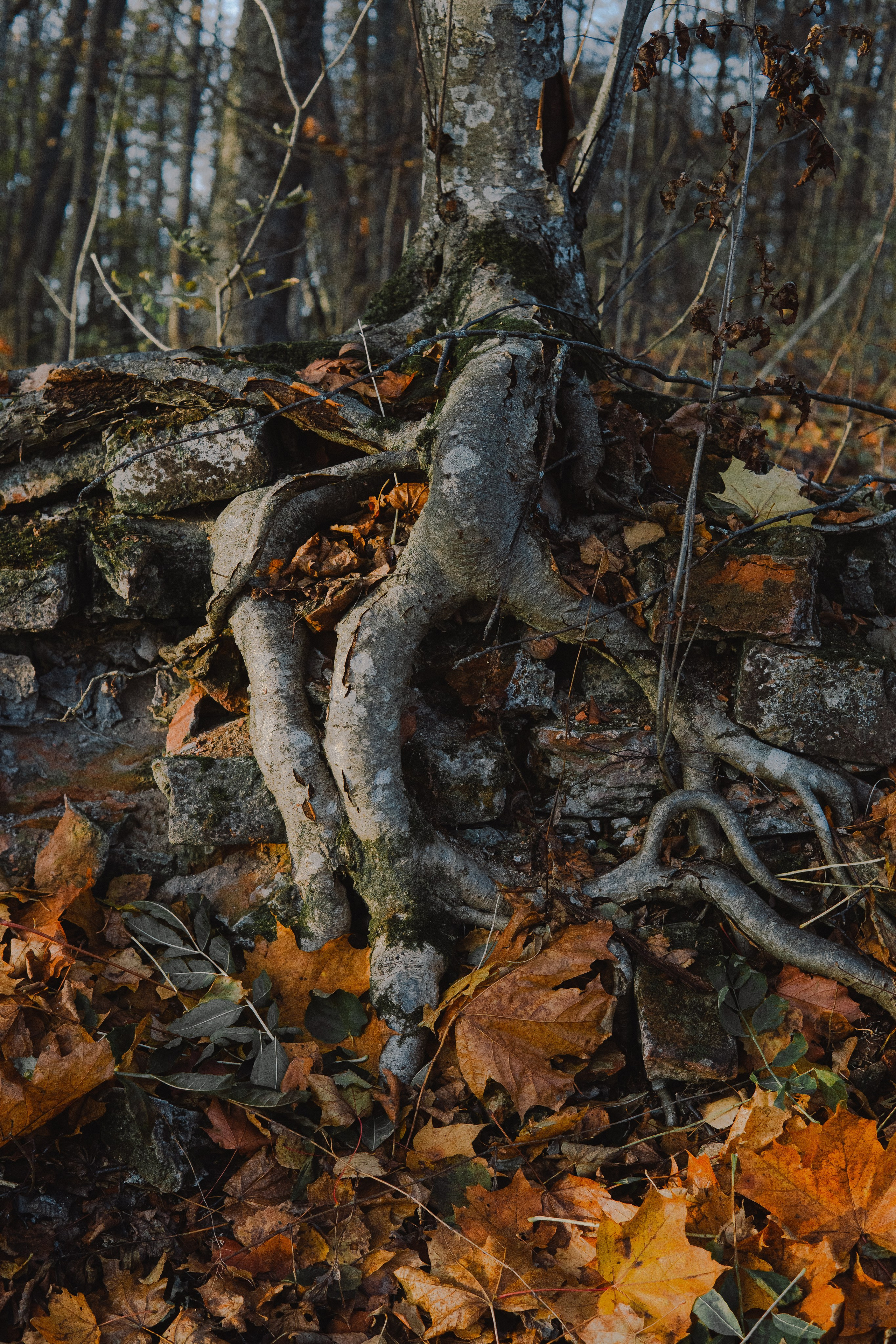 EXHIBITION. Репортажный и интерьерный фотограф, фотохудожник