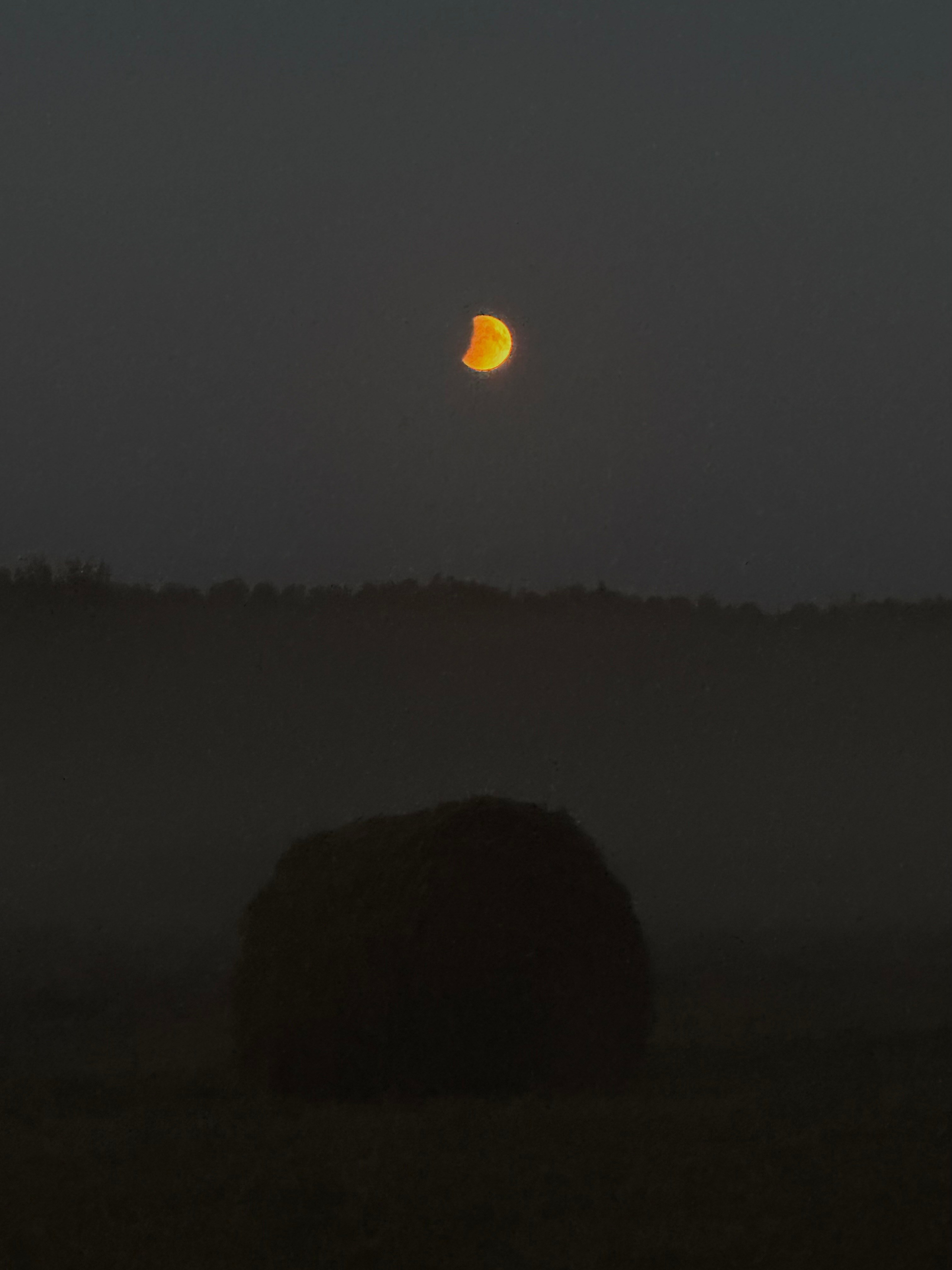 EXHIBITION. Репортажный и интерьерный фотограф, фотохудожник