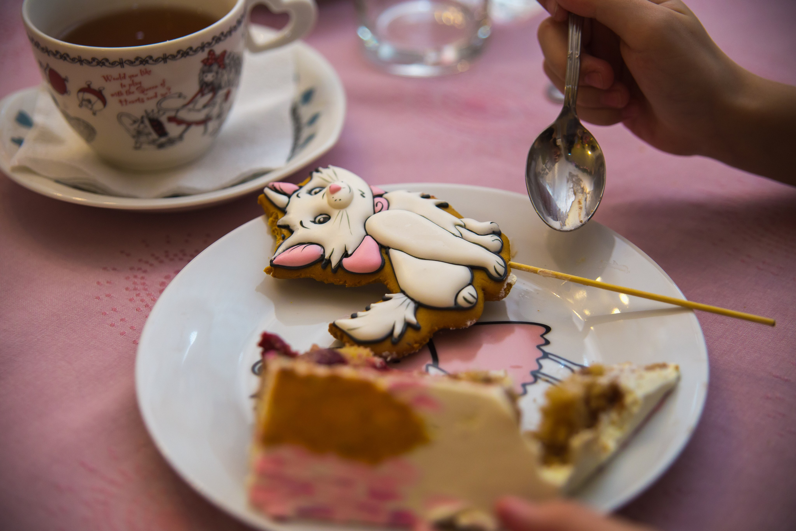 В домике Алисы. Мире 6 лет. Семейный и школьный фотограф в Москве Анна Ткач