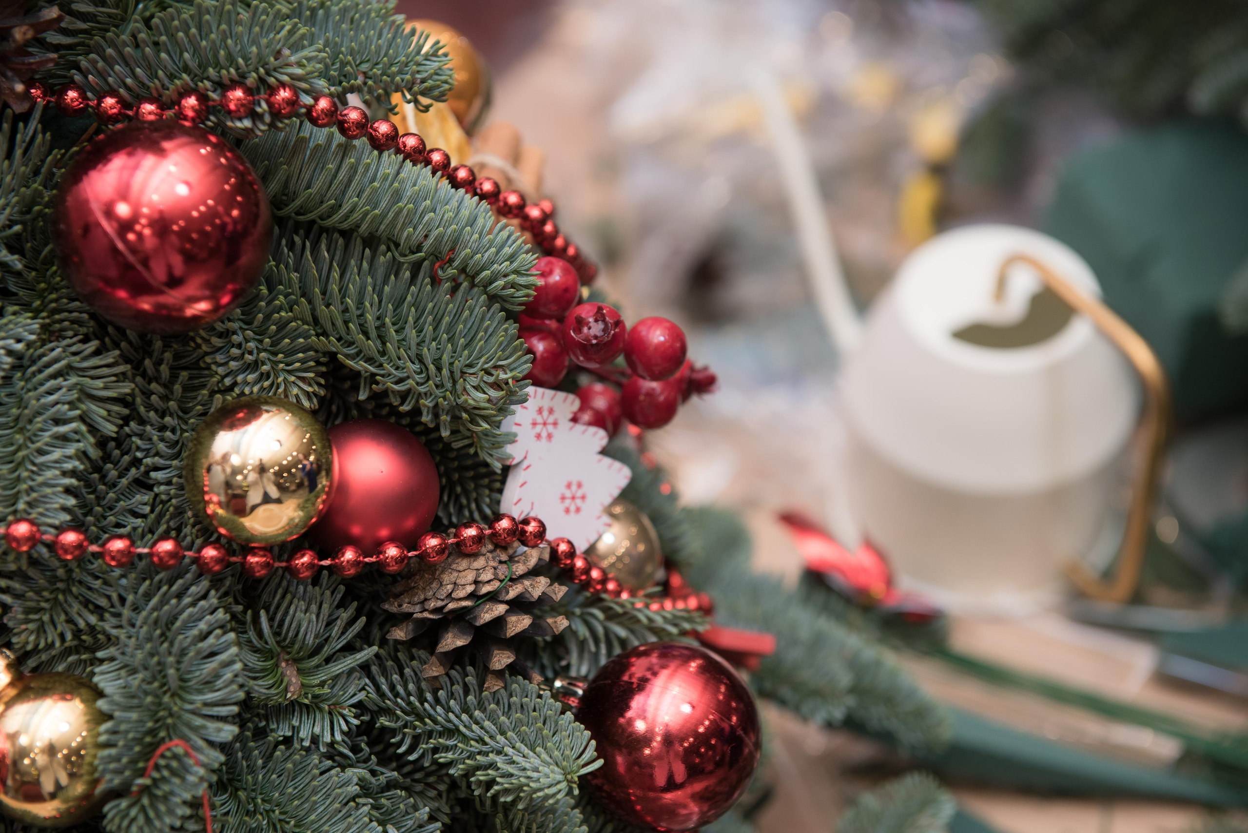 МК по новогодним венкам. Бренд-фотограф для экспертов и блогеров в Москве Влада Горбовская