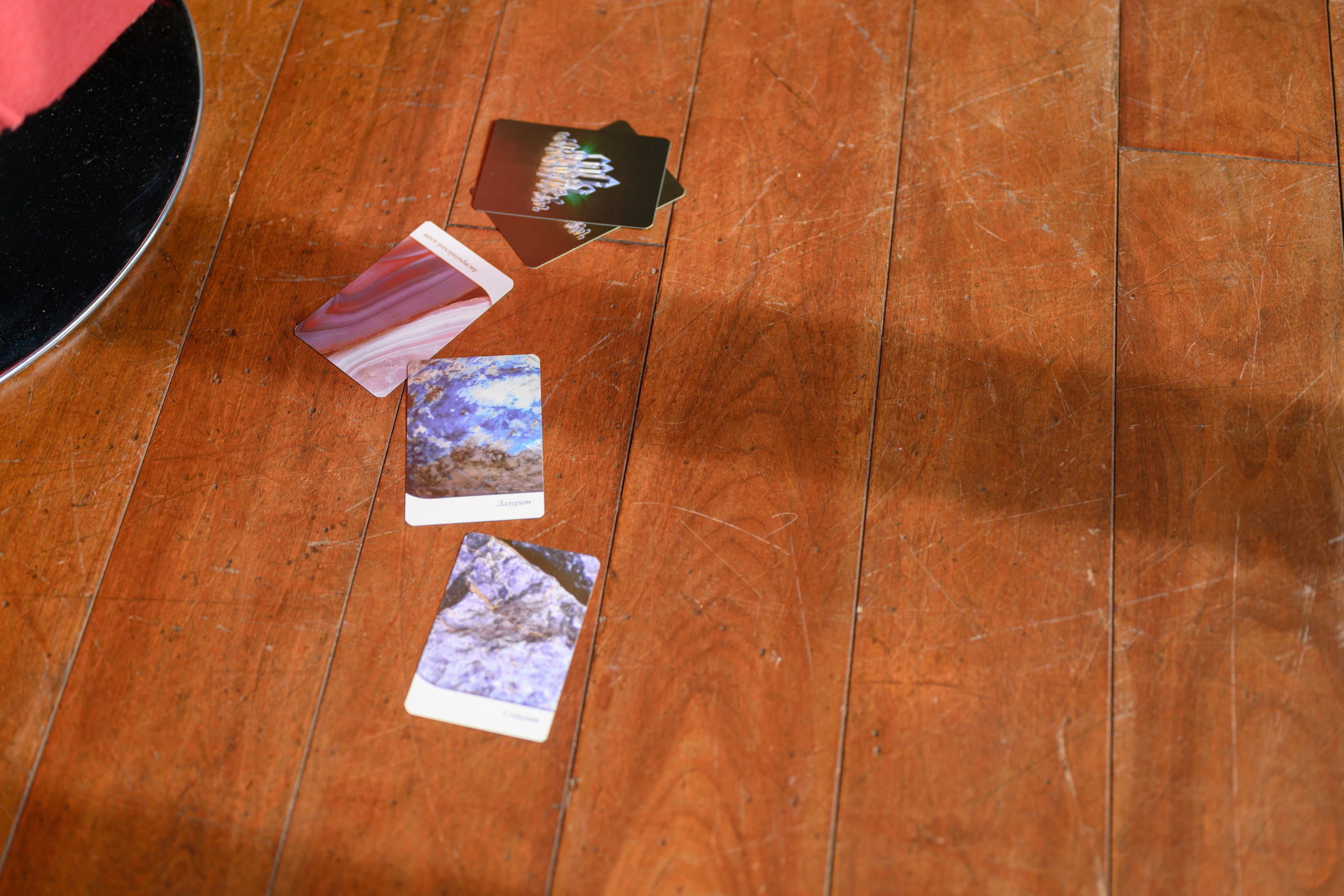 Кристина. Семейный фотограф и анималист в Москве и Московской области