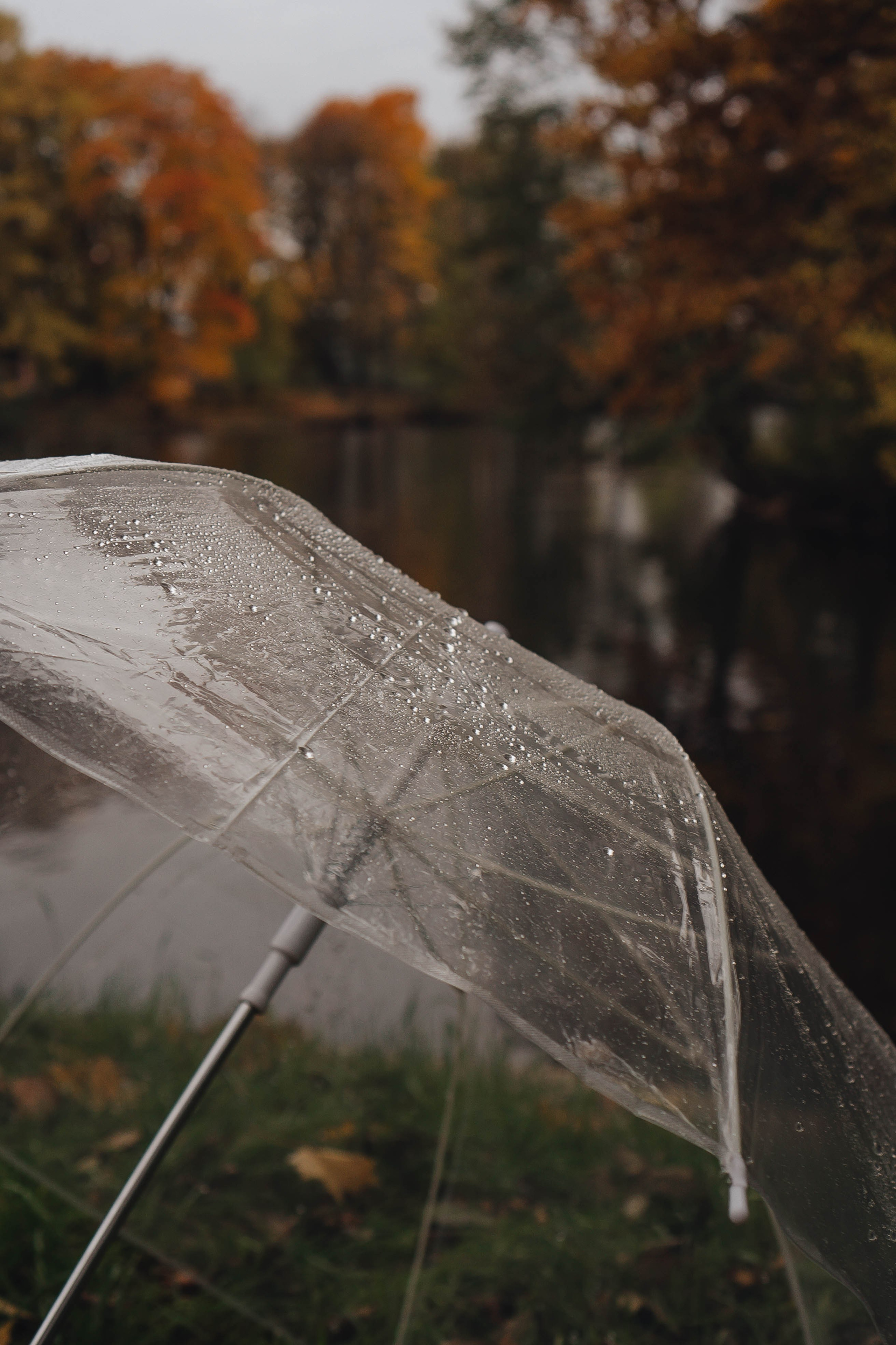 Осень. Профессиональный фотограф, Санкт-Петербург — Виктория Богомолова