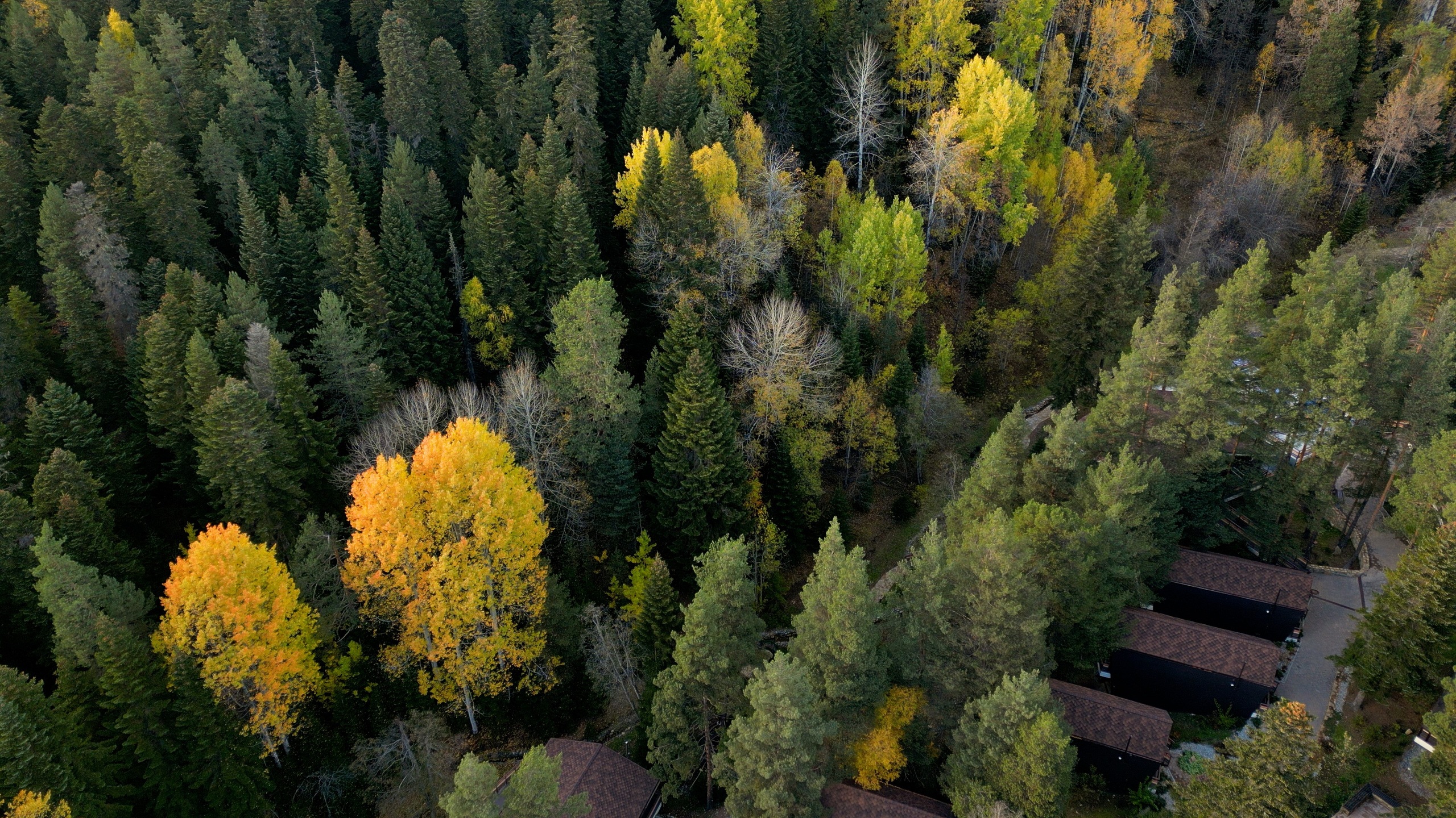 Mairi*. Фотограф и видеограф Елена Хмелевская