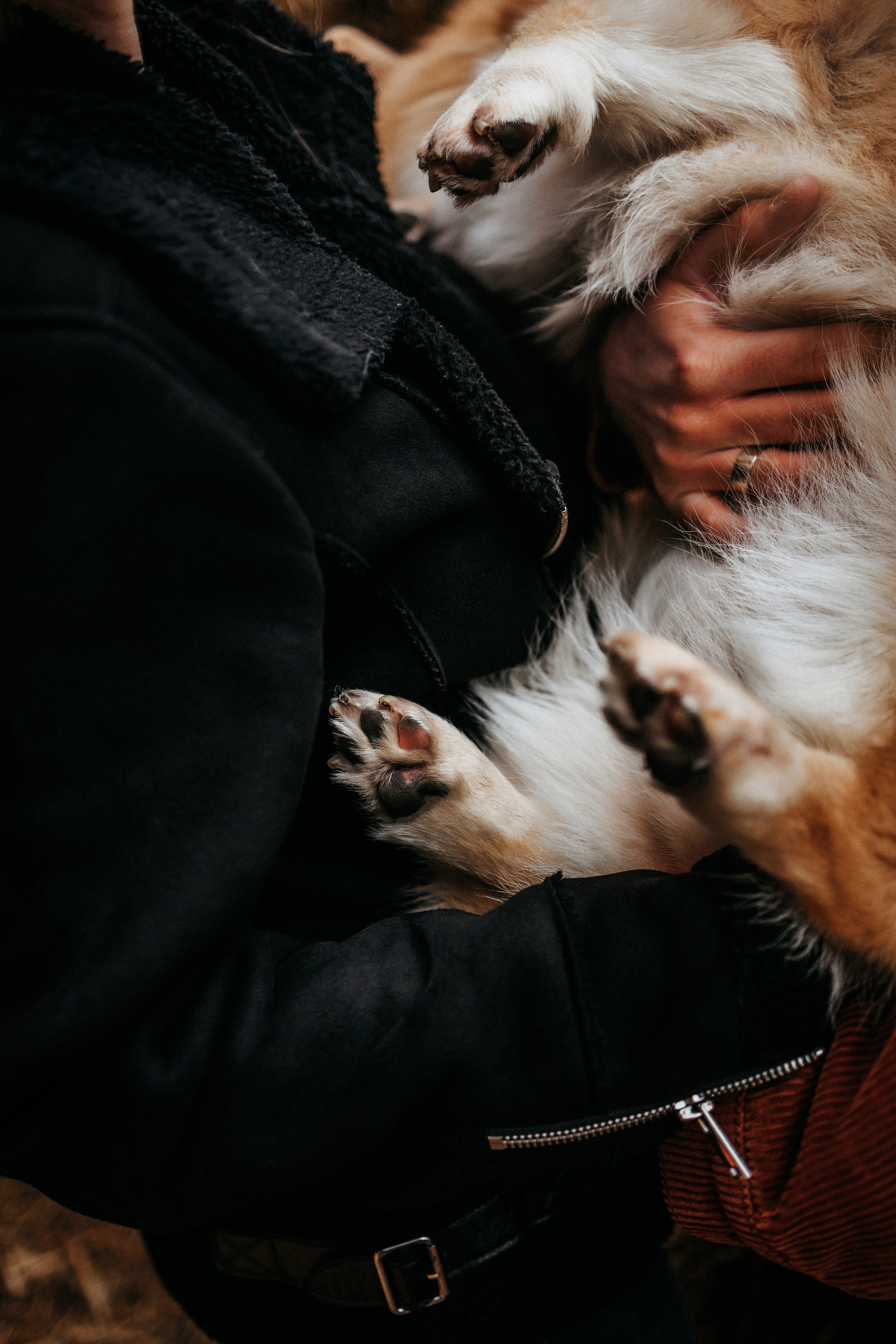 Вера, Саша и Муна. Фотограф-анималист Елена Радченко, Москва